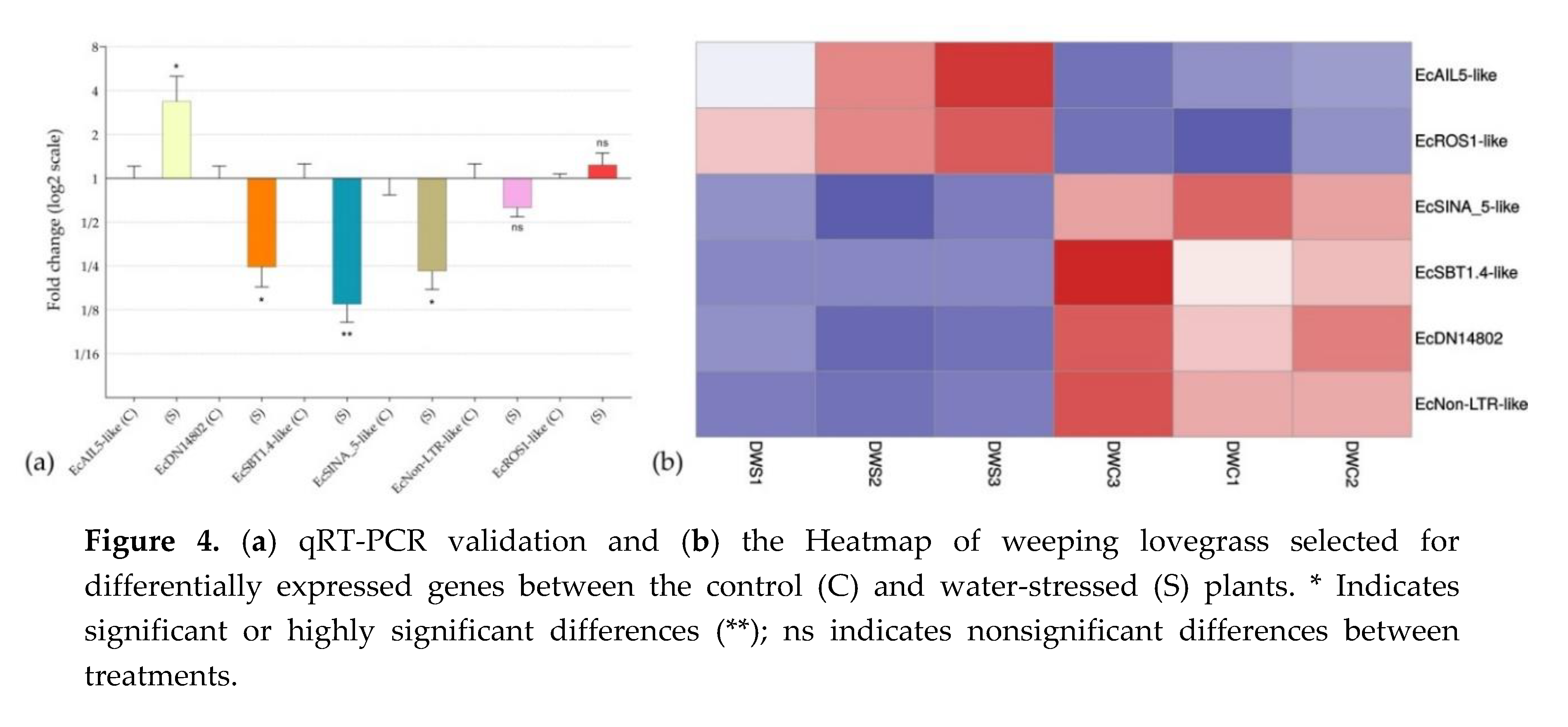 Genes 11 00969 g004 Genes 11 00969 g004