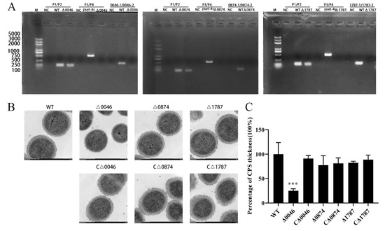 hi. Screening of Virulence-Related Transcriptional Regulators in