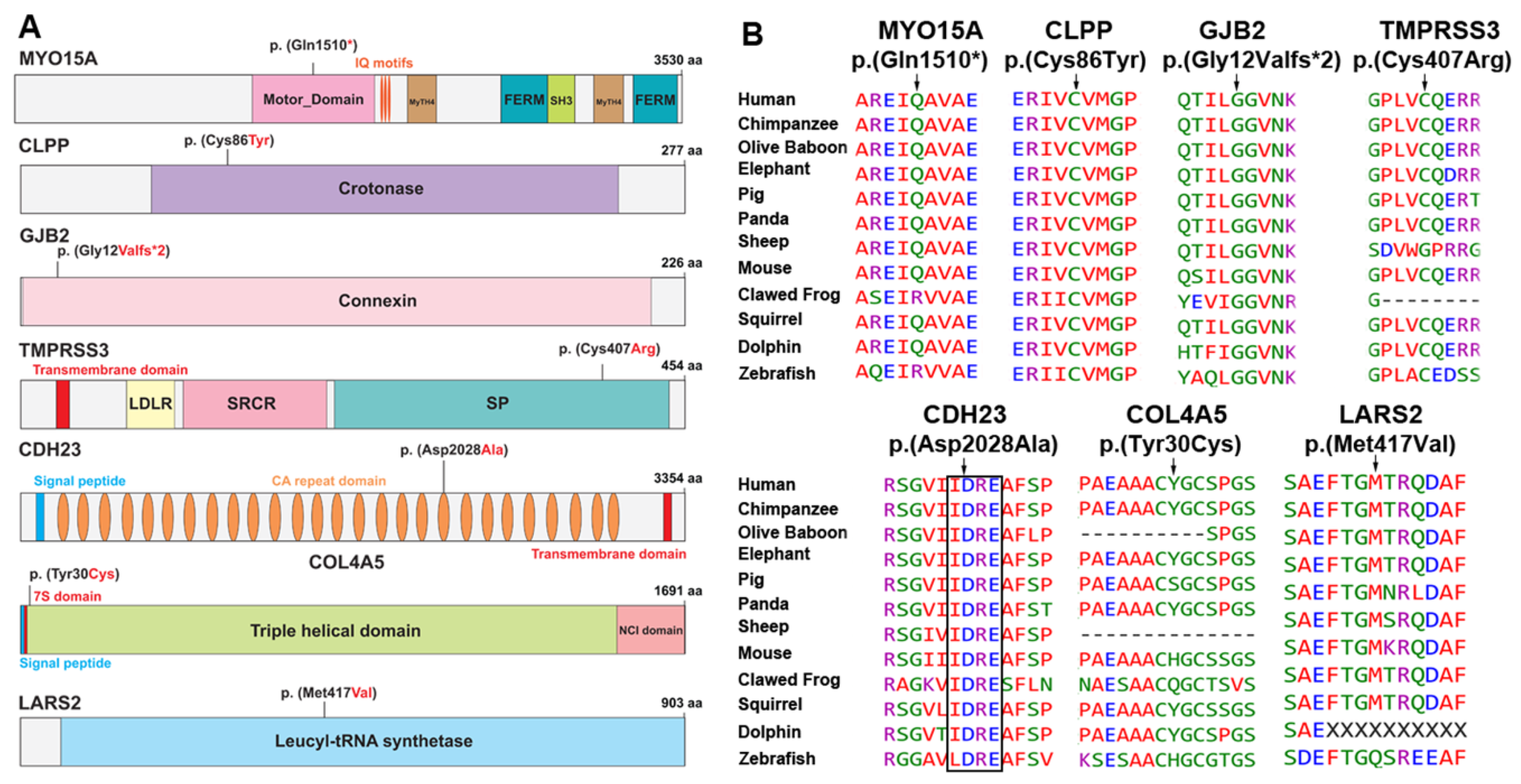 Genes 11 00978 g002 Genes 11 00978 g002