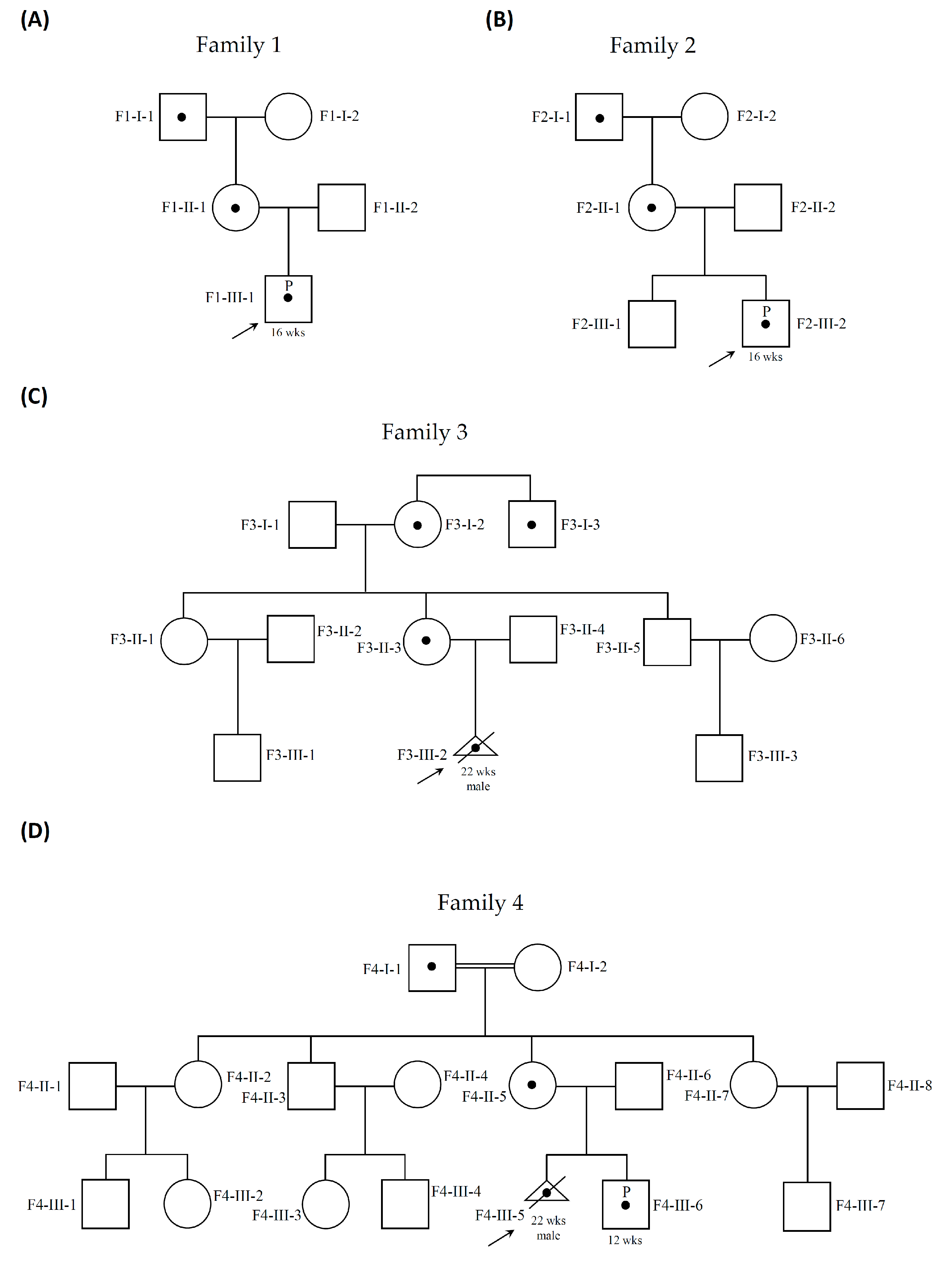 Genes 11 00979 g001 Genes 11 00979 g001