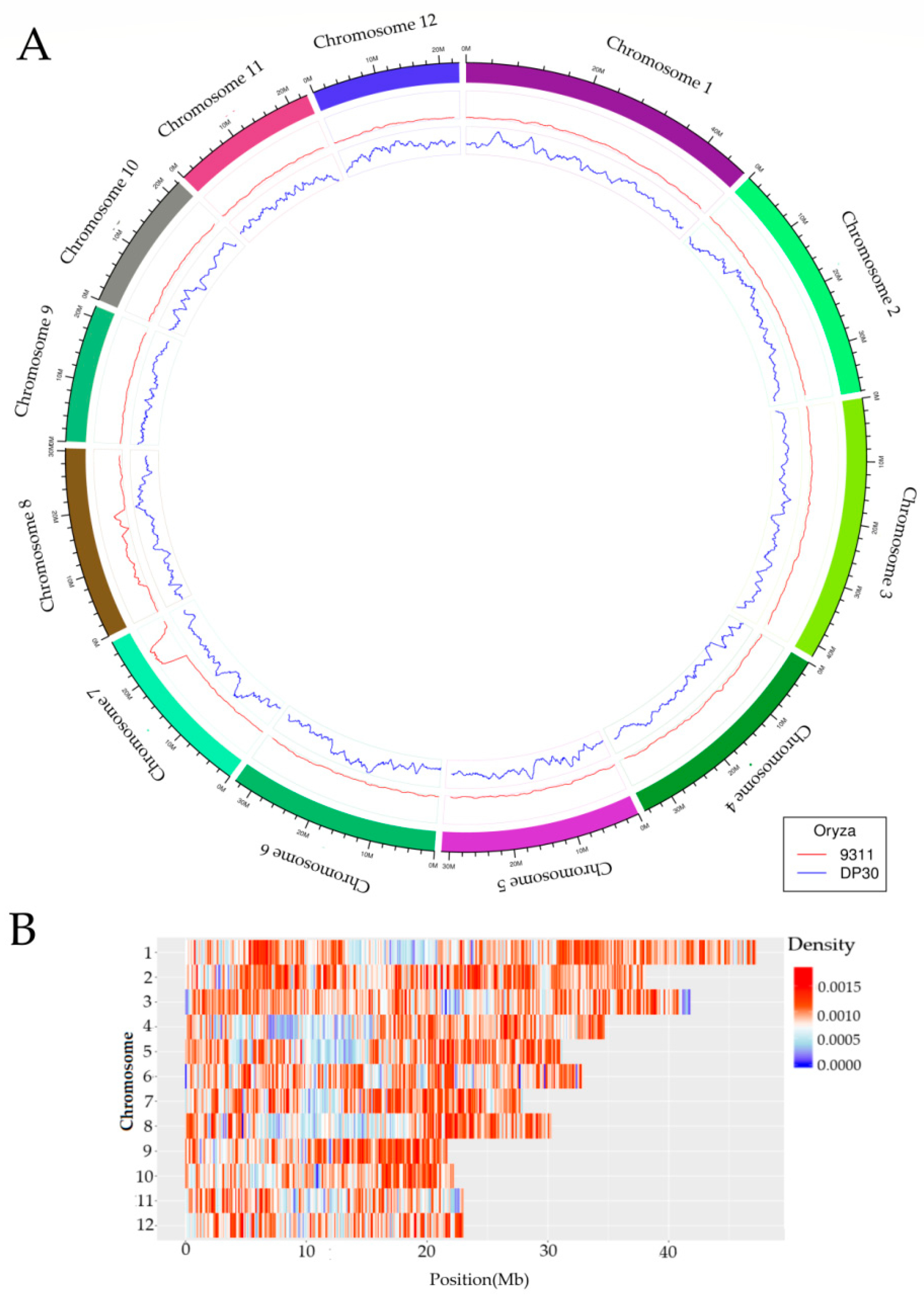 Genes 11 00980 g001 Genes 11 00980 g001