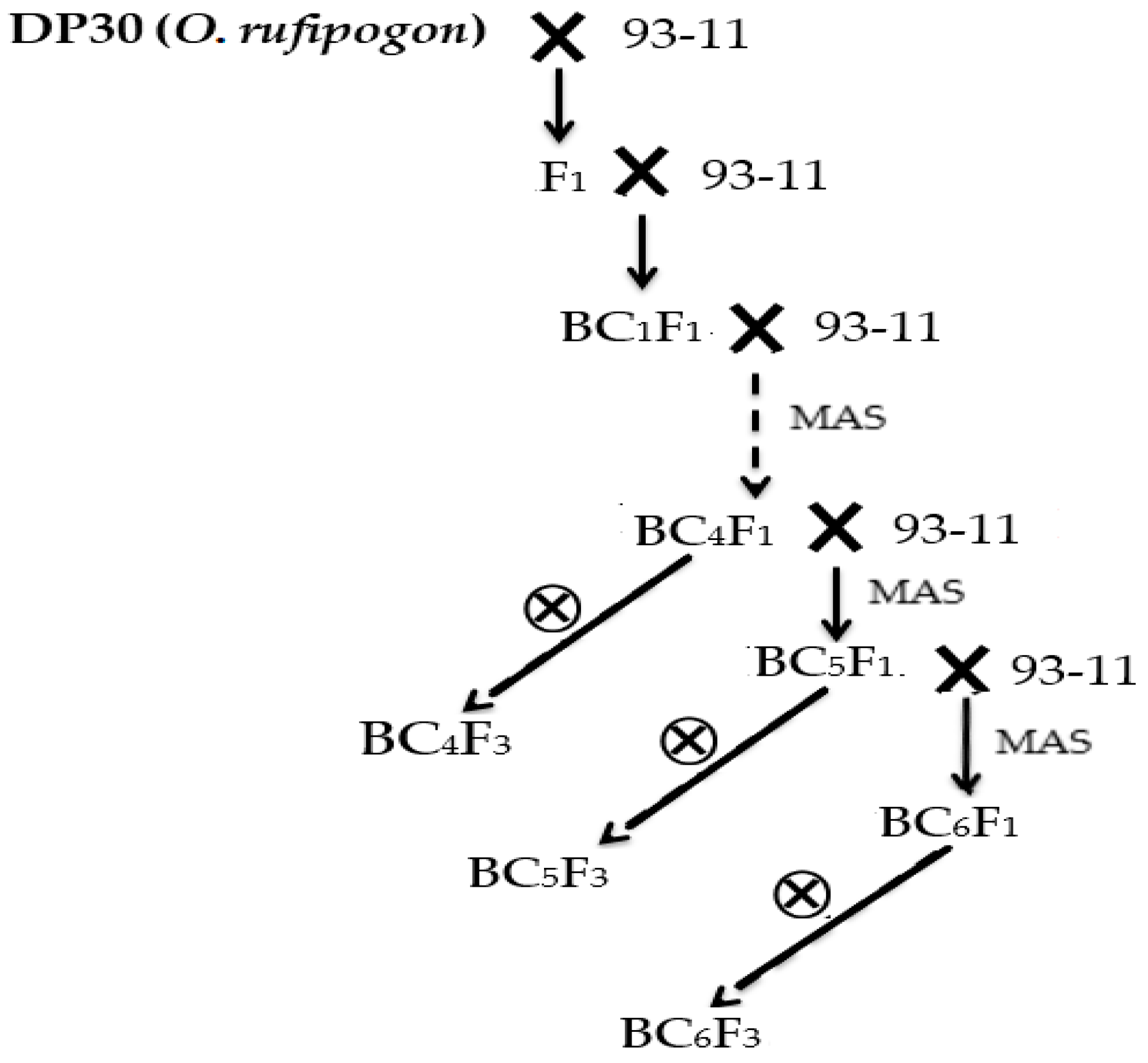 Genes 11 00980 g002 Genes 11 00980 g002