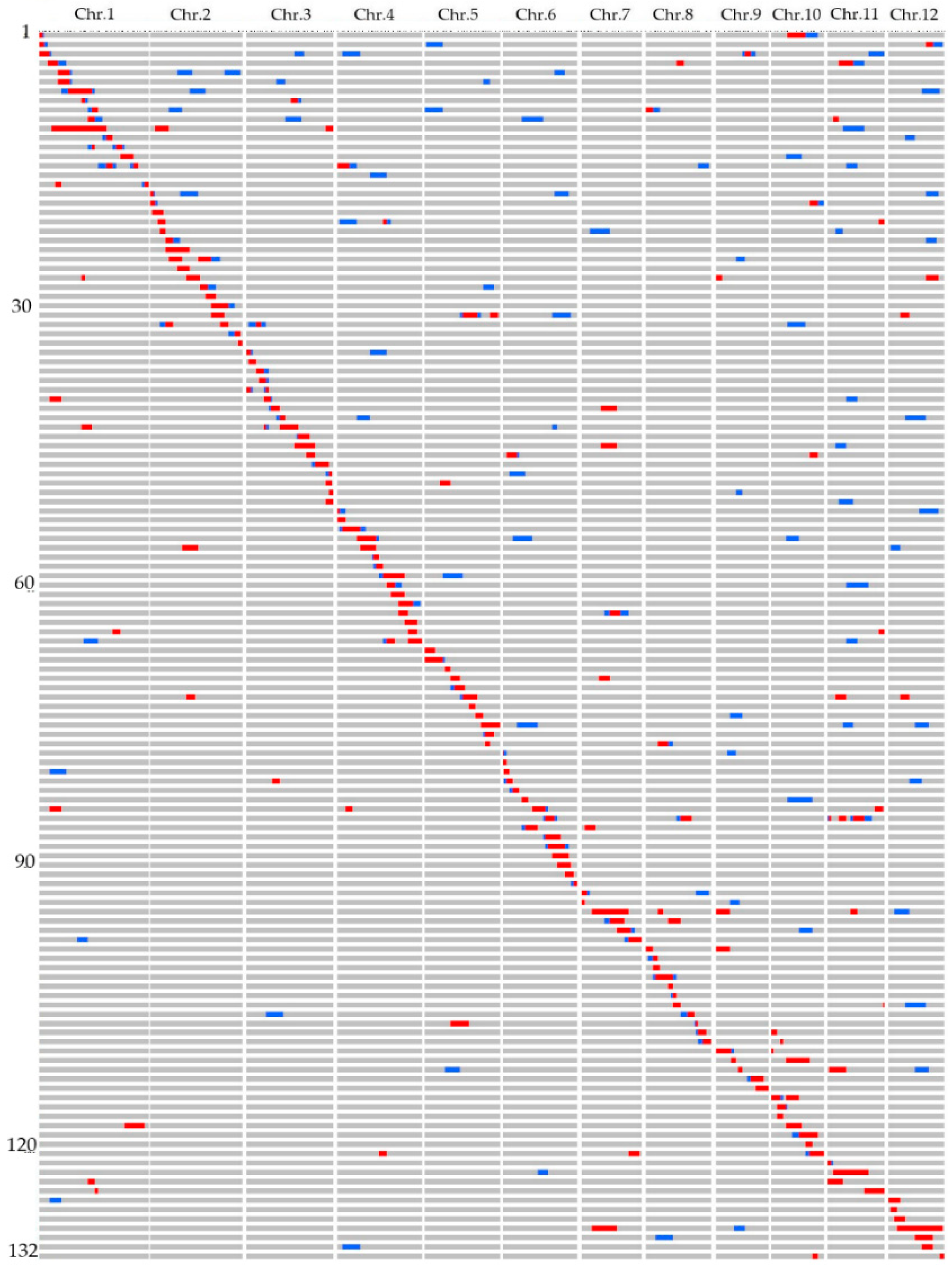 Genes 11 00980 g003 Genes 11 00980 g003