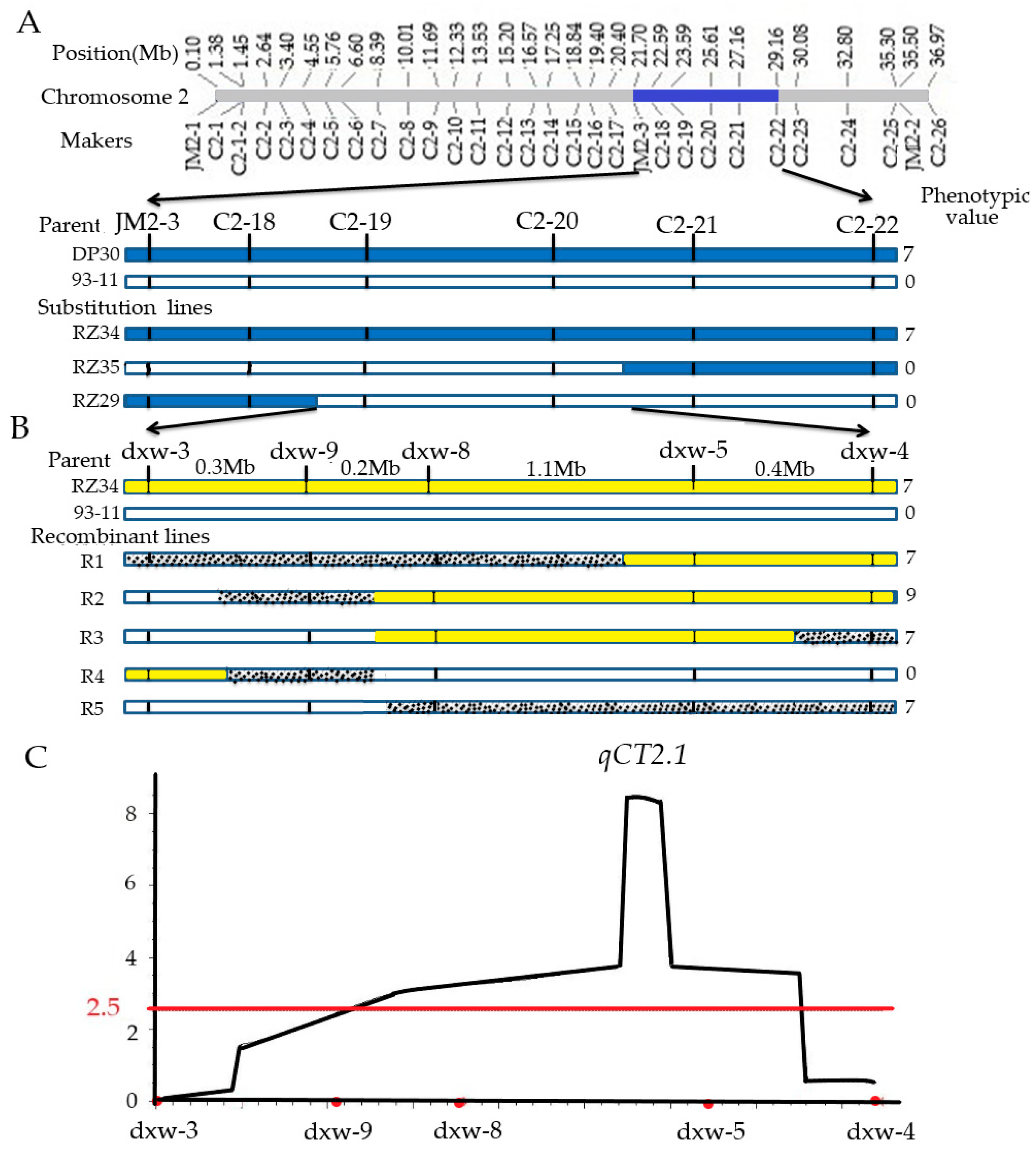 Genes 11 00980 g007 Genes 11 00980 g007