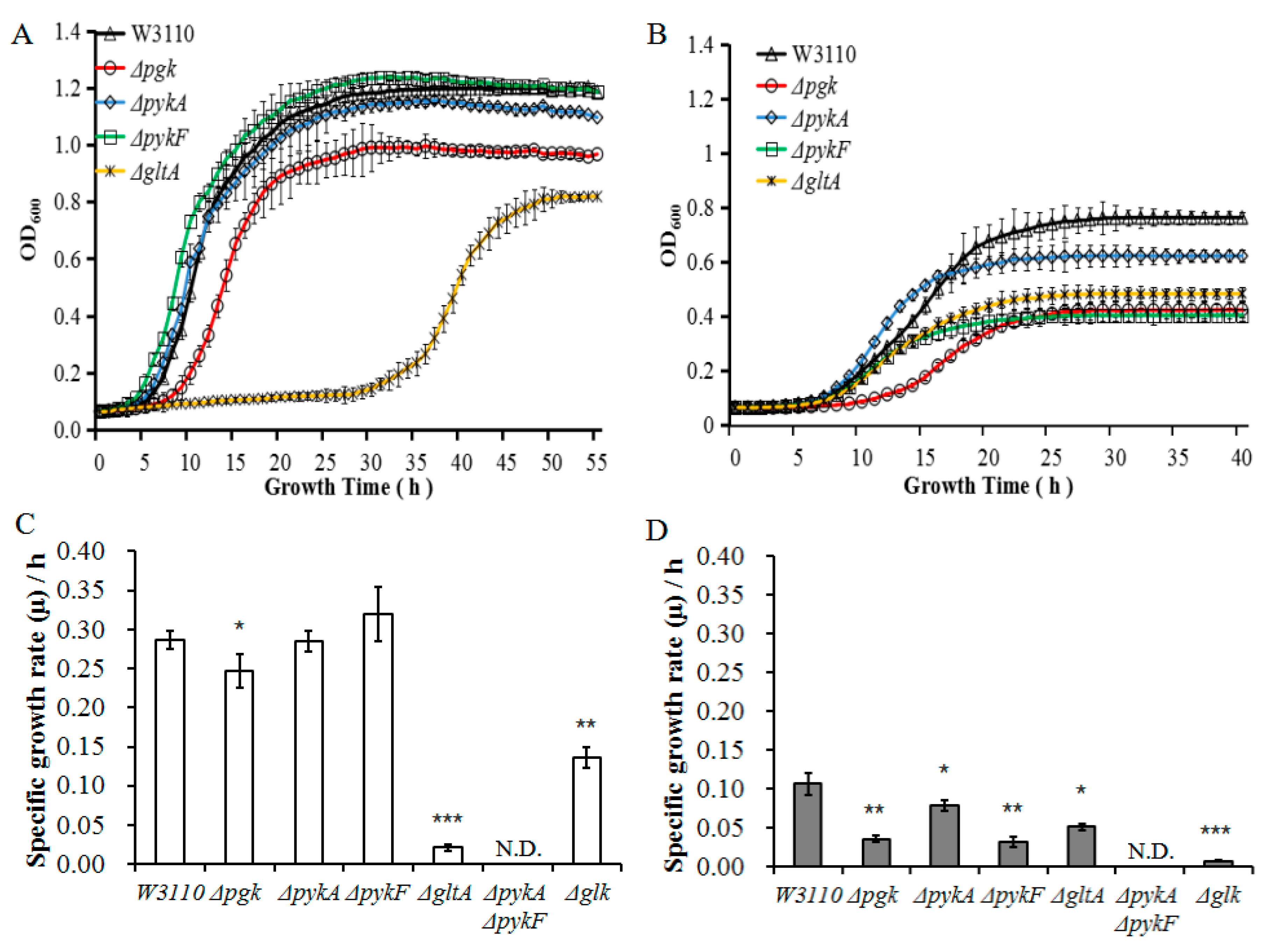 Genes 11 00991 g004 Genes 11 00991 g004