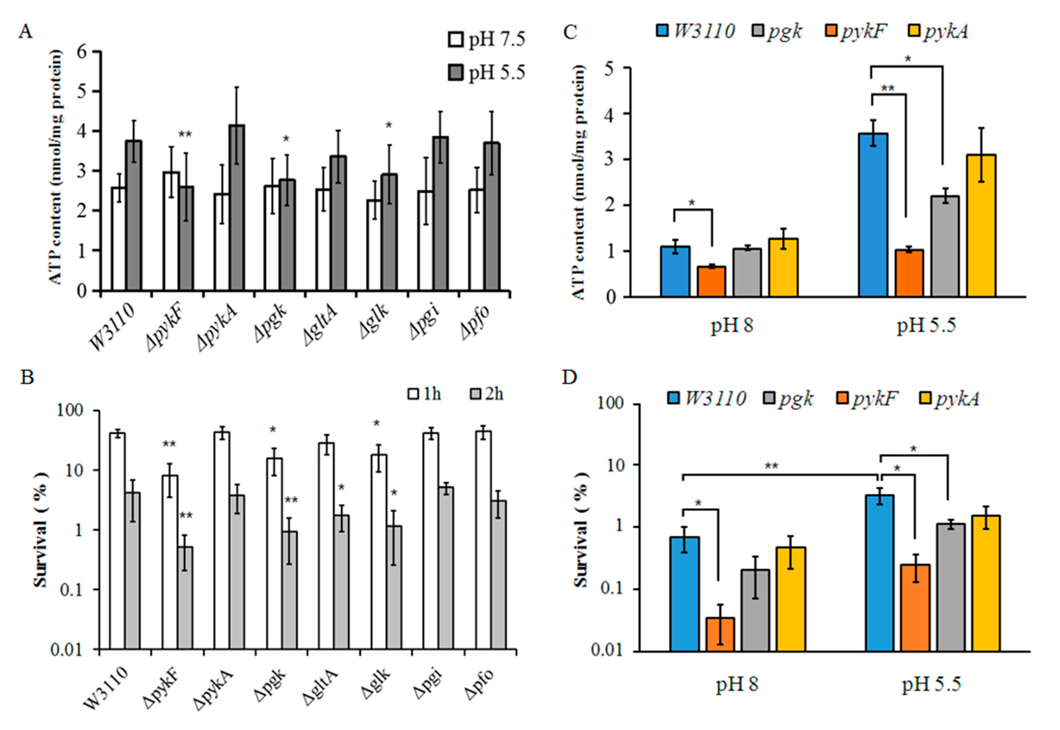 Genes 11 00991 g005 Genes 11 00991 g005