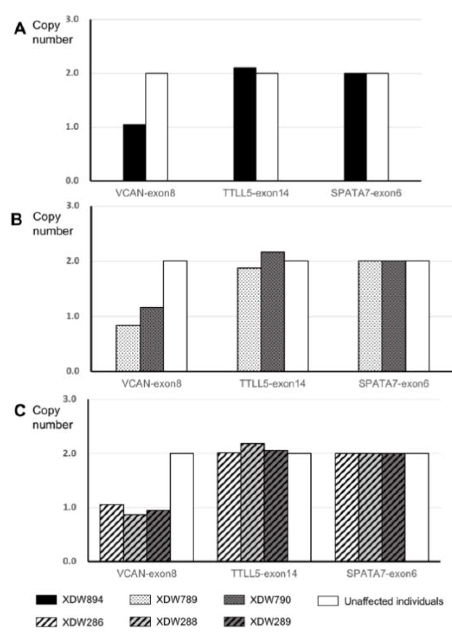 Genes 11 00992 g002 Genes 11 00992 g002