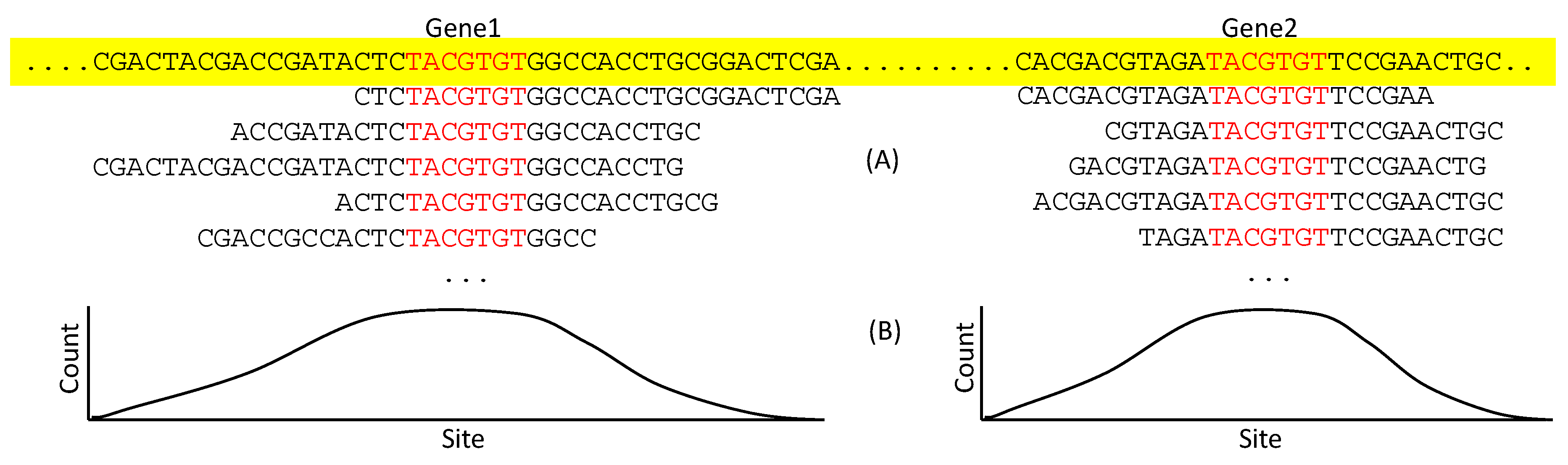 Genes 11 00995 g007