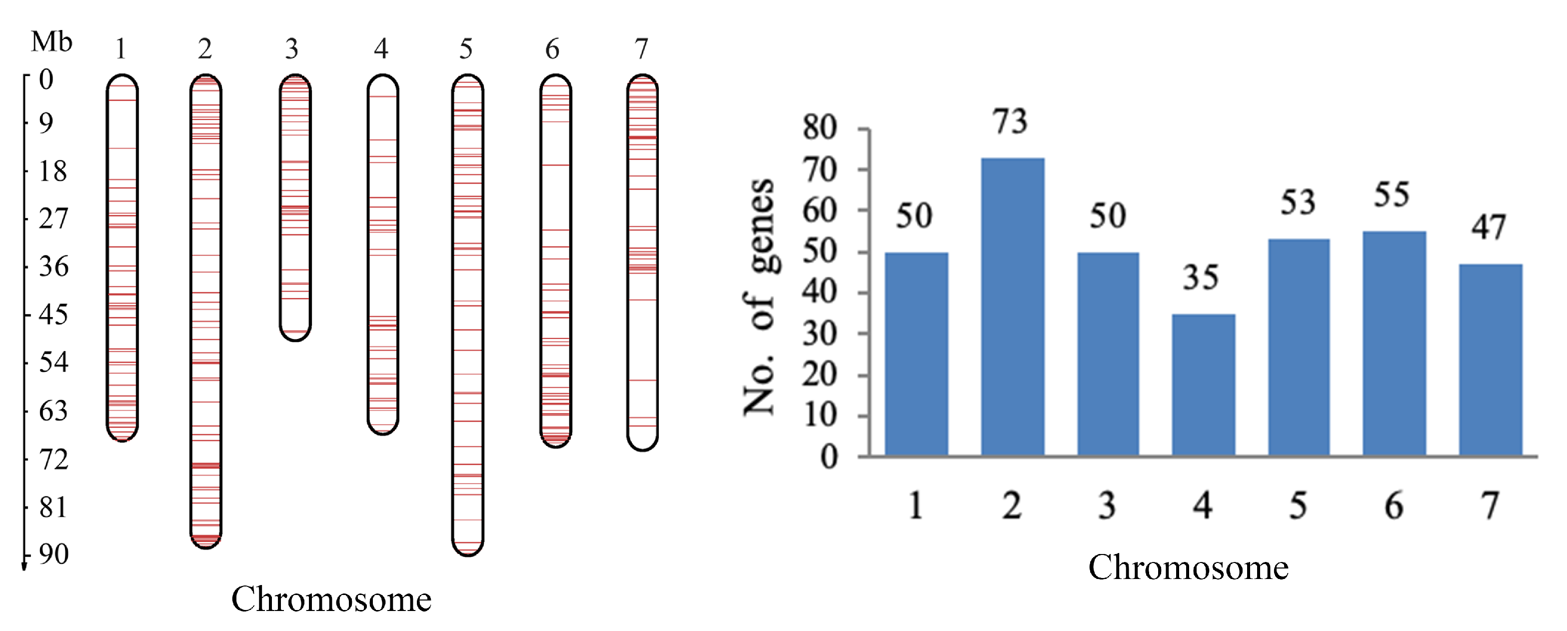 Genes 11 00996 g005 Genes 11 00996 g005