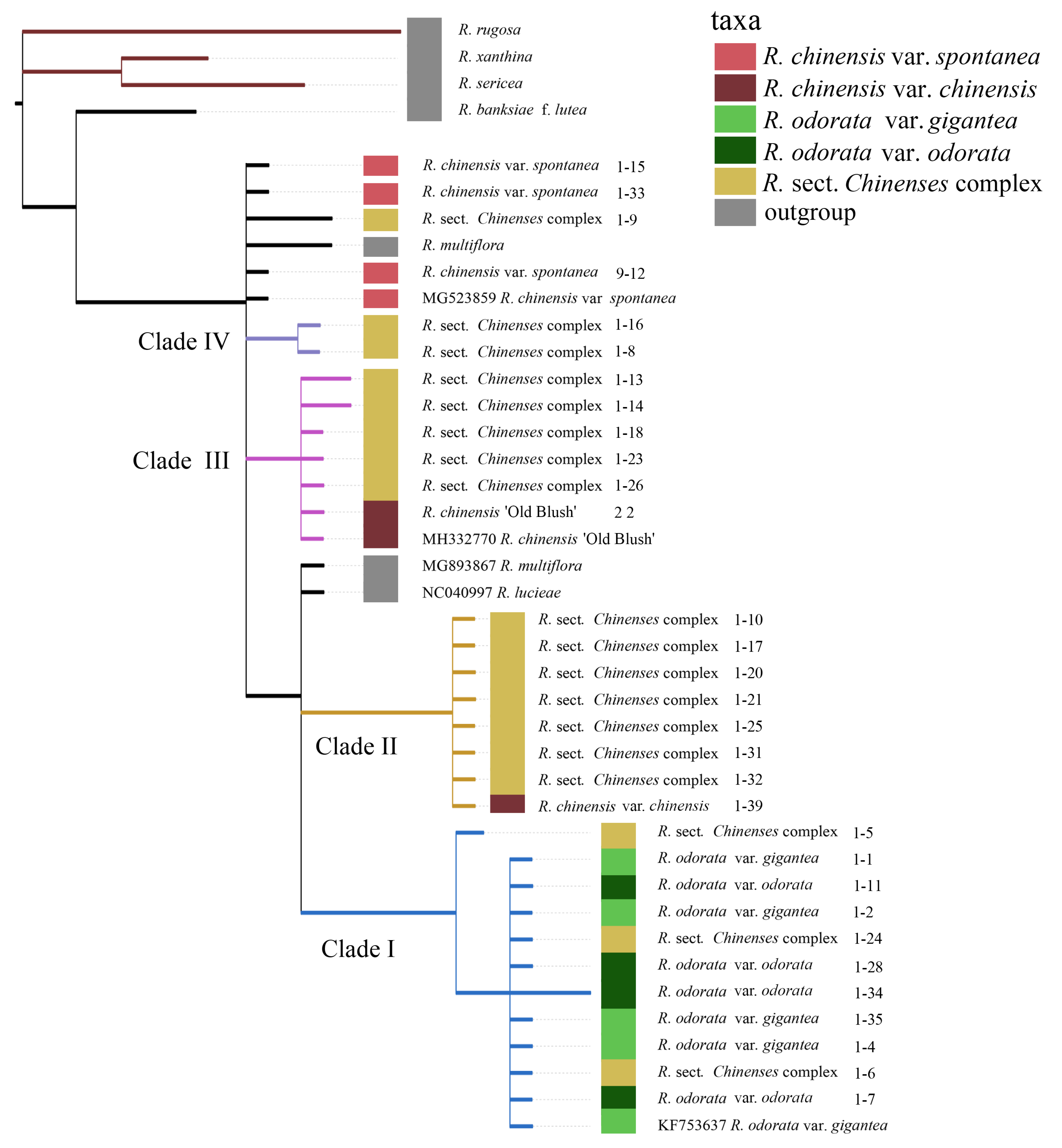 Genes 11 00996 g007 Genes 11 00996 g007
