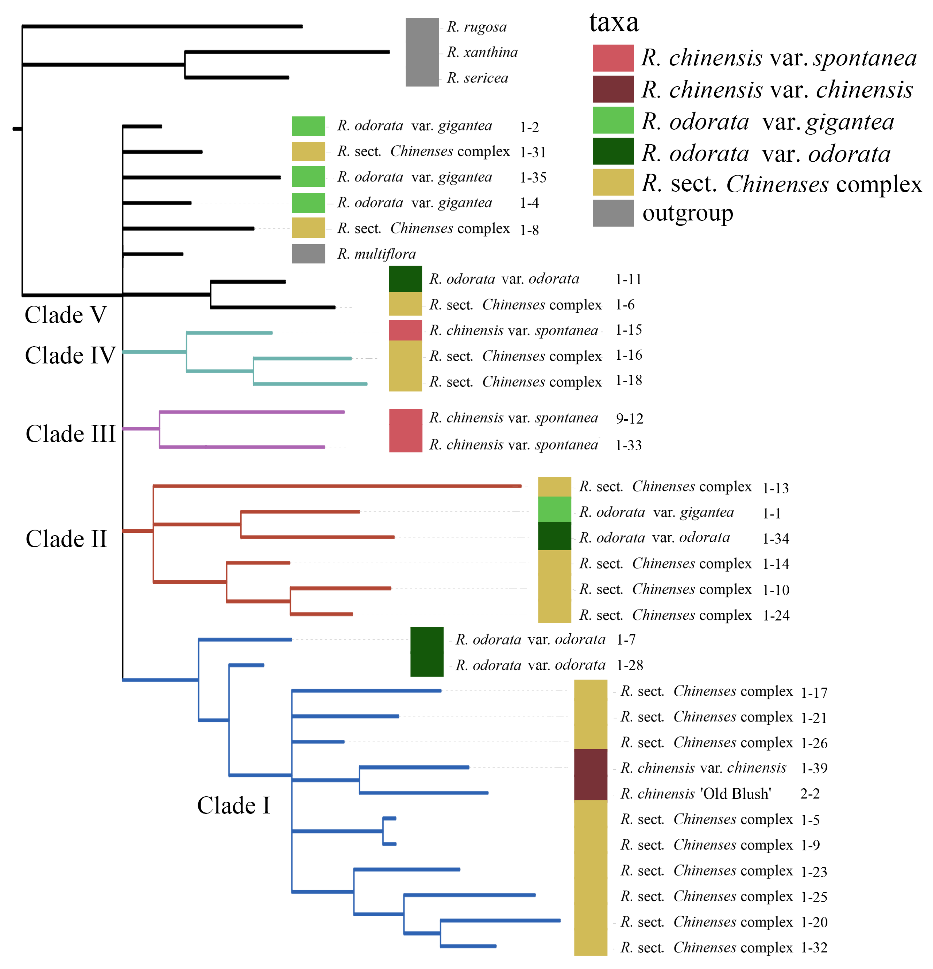 Genes 11 00996 g008 Genes 11 00996 g008