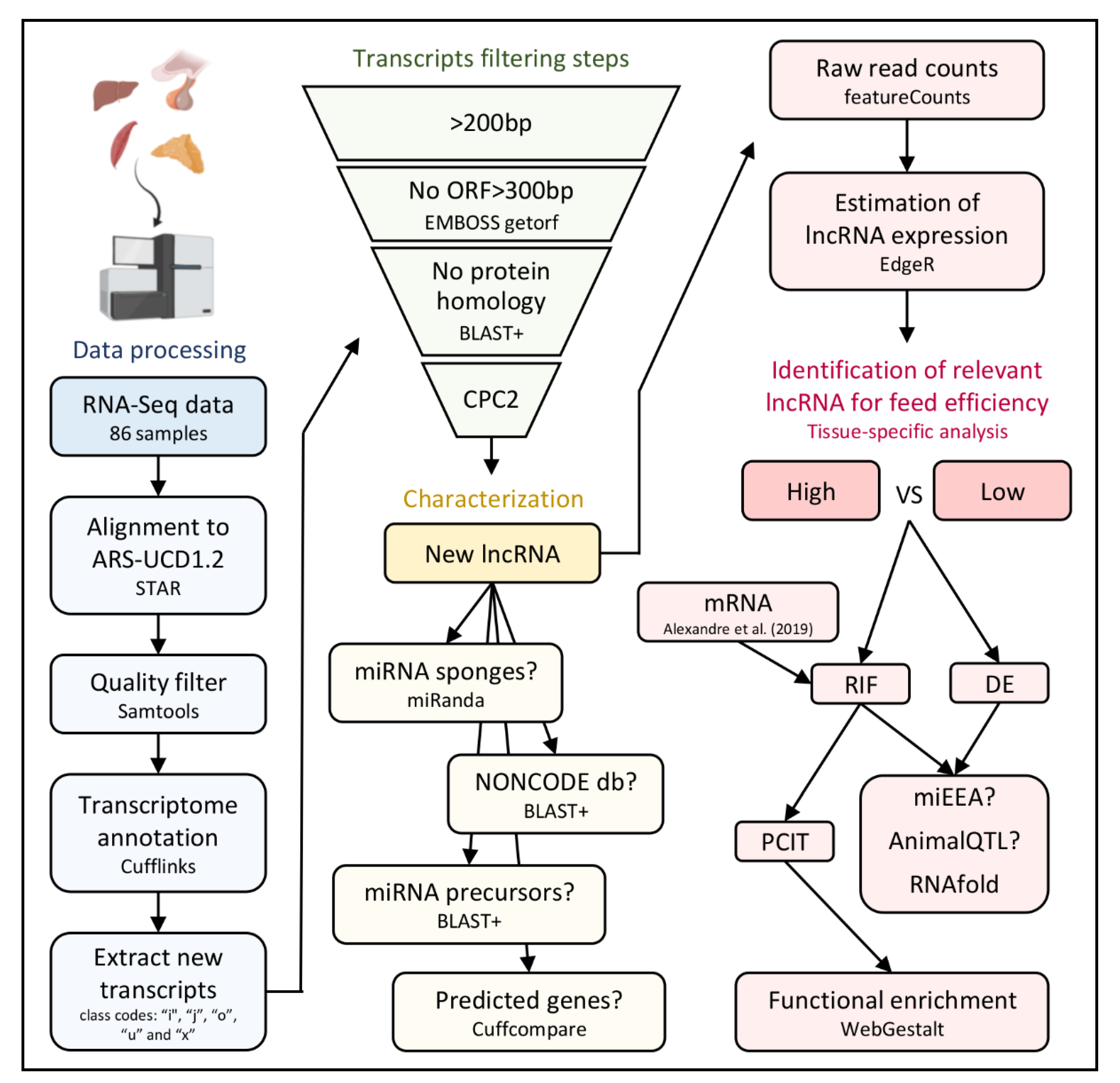 Genes 11 00997 g001 Genes 11 00997 g001