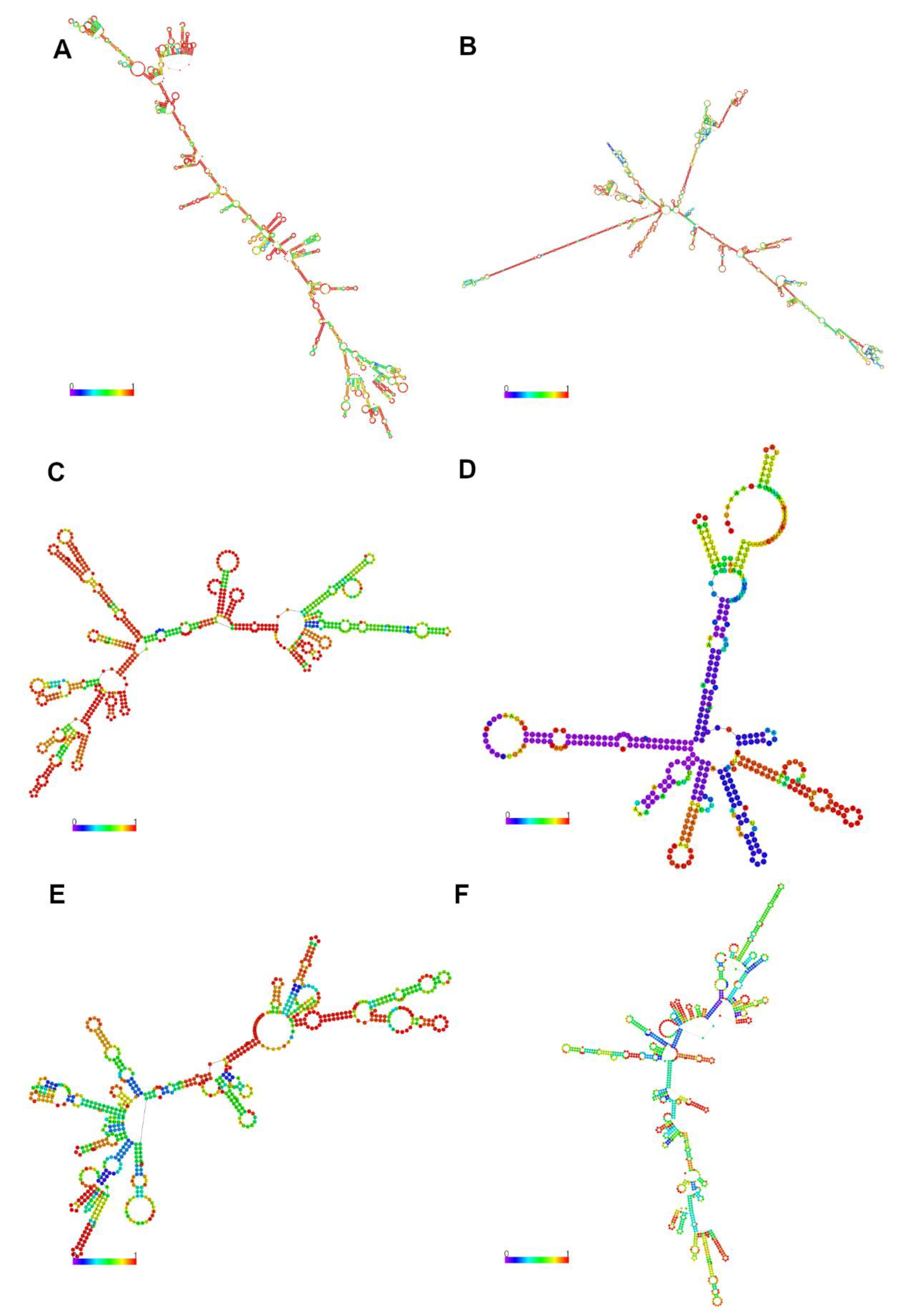 Genes 11 00997 g004 Genes 11 00997 g004