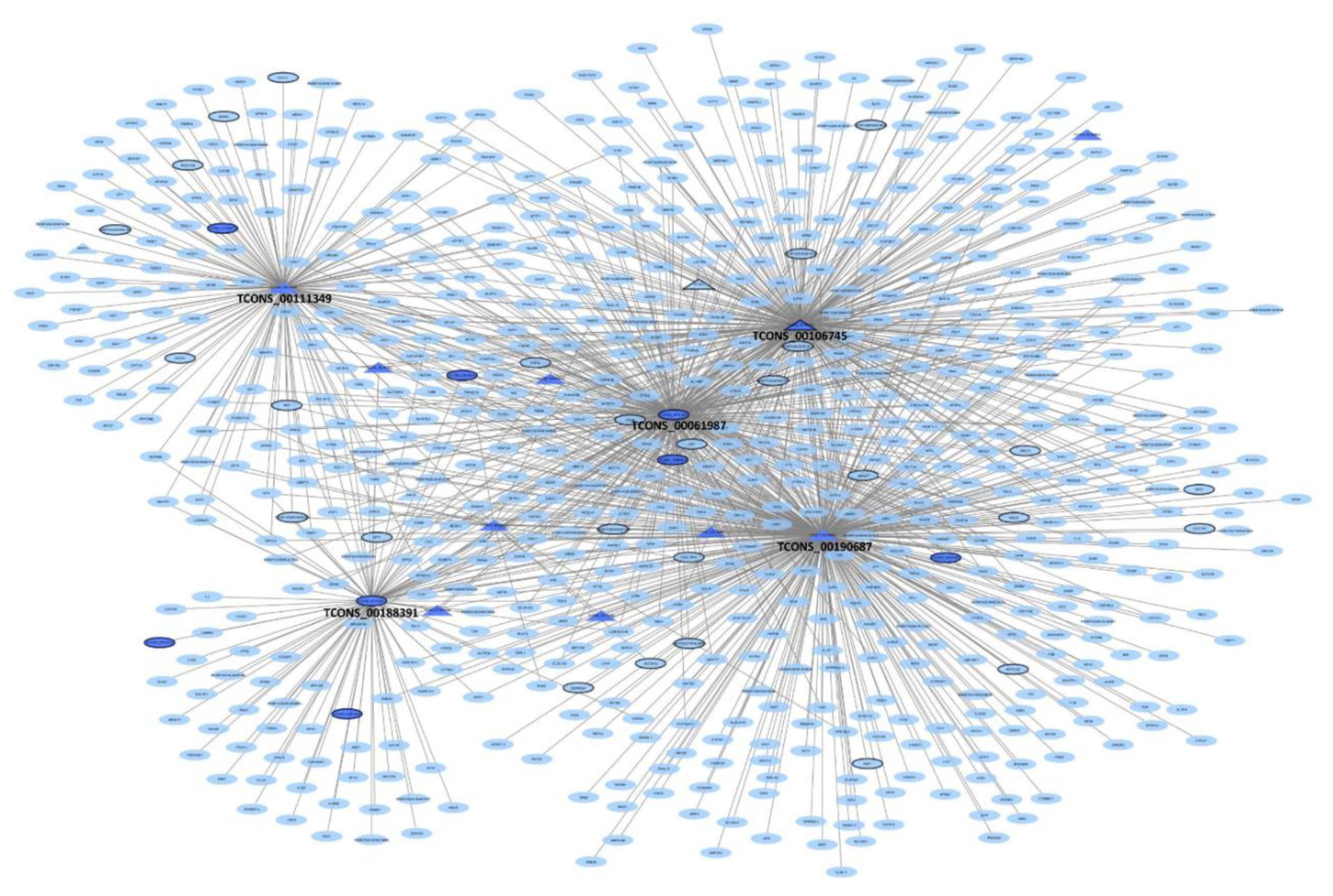 Genes 11 00997 g006 Genes 11 00997 g006