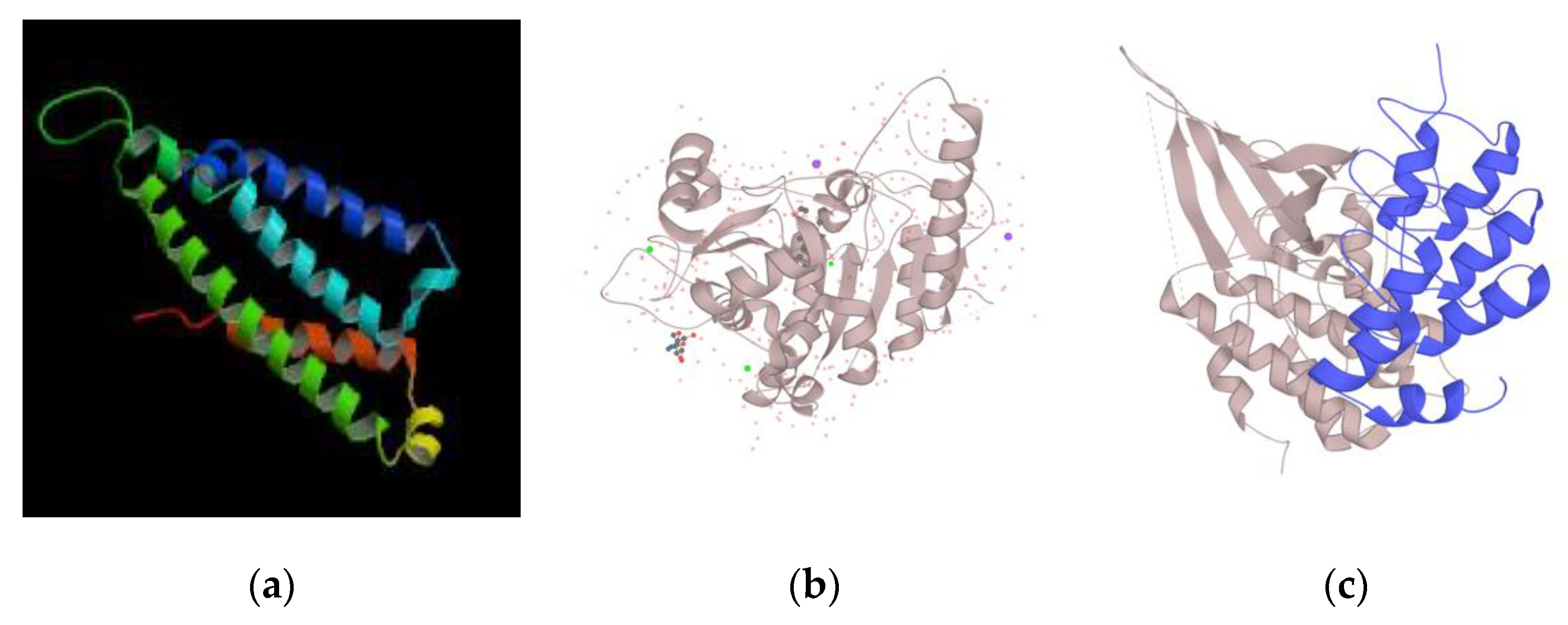 Genes 11 00998 g002 Genes 11 00998 g002