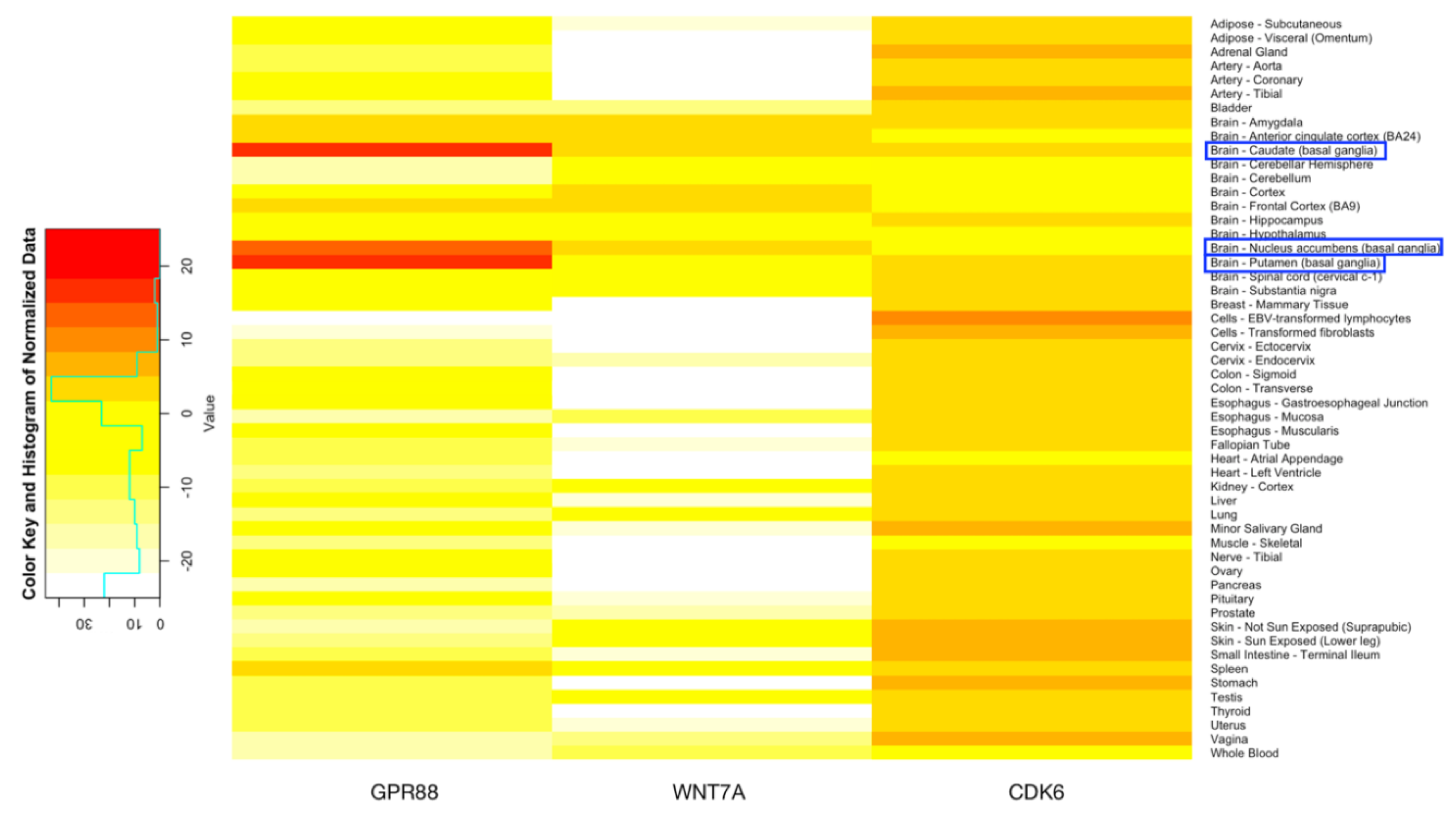 Genes 11 00998 g004 Genes 11 00998 g004