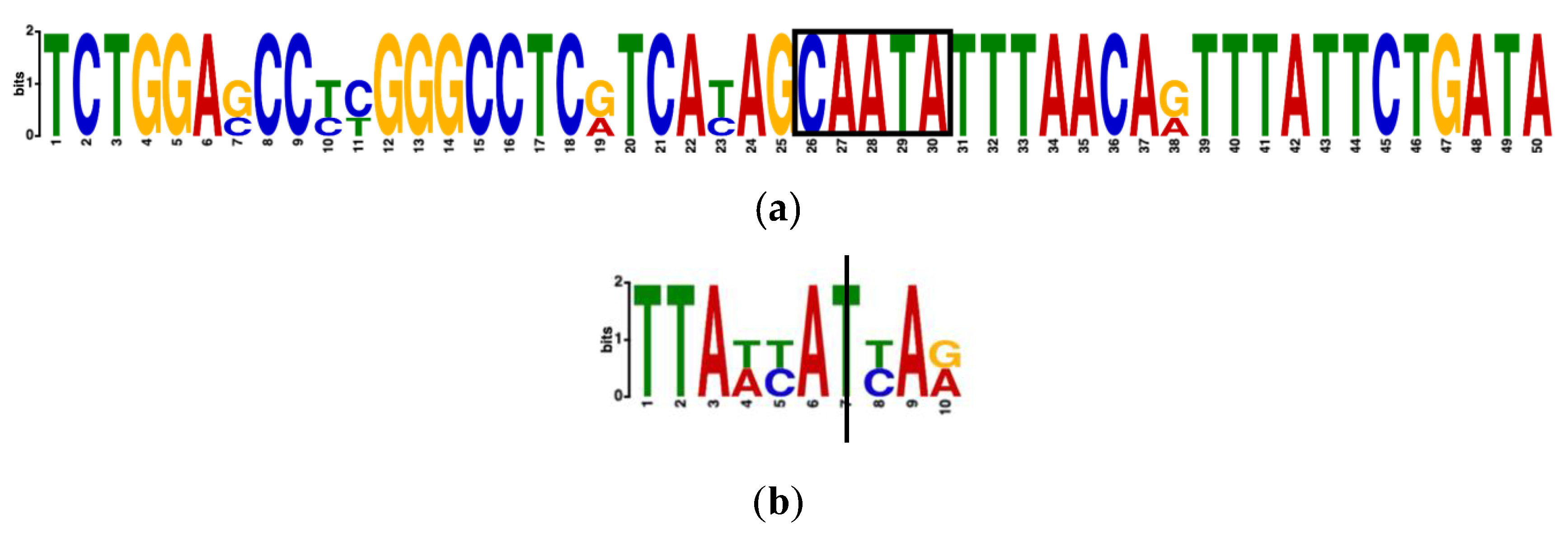 Genes 11 00998 g005 Genes 11 00998 g005