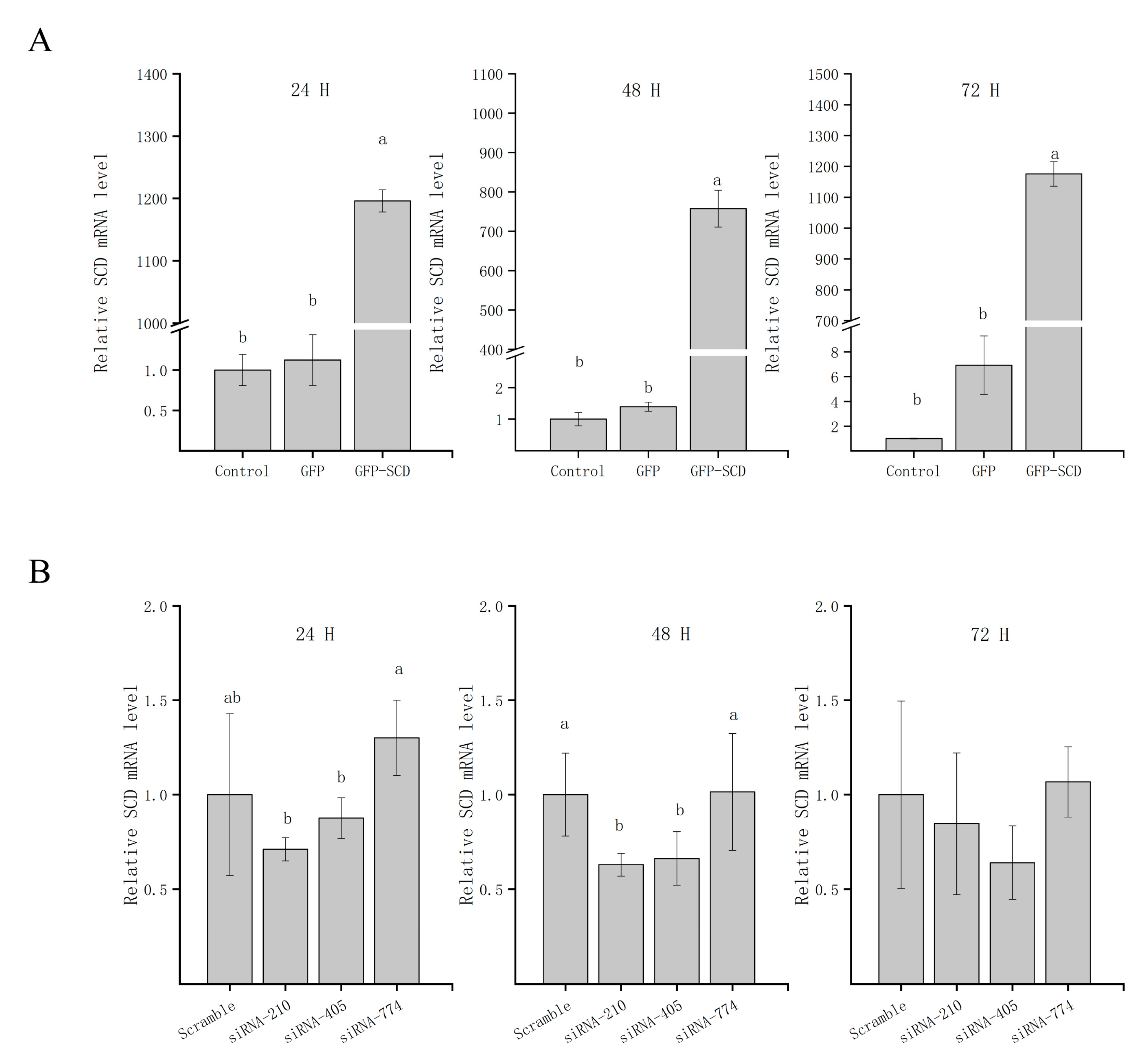 Genes 11 01001 g003 Genes 11 01001 g003