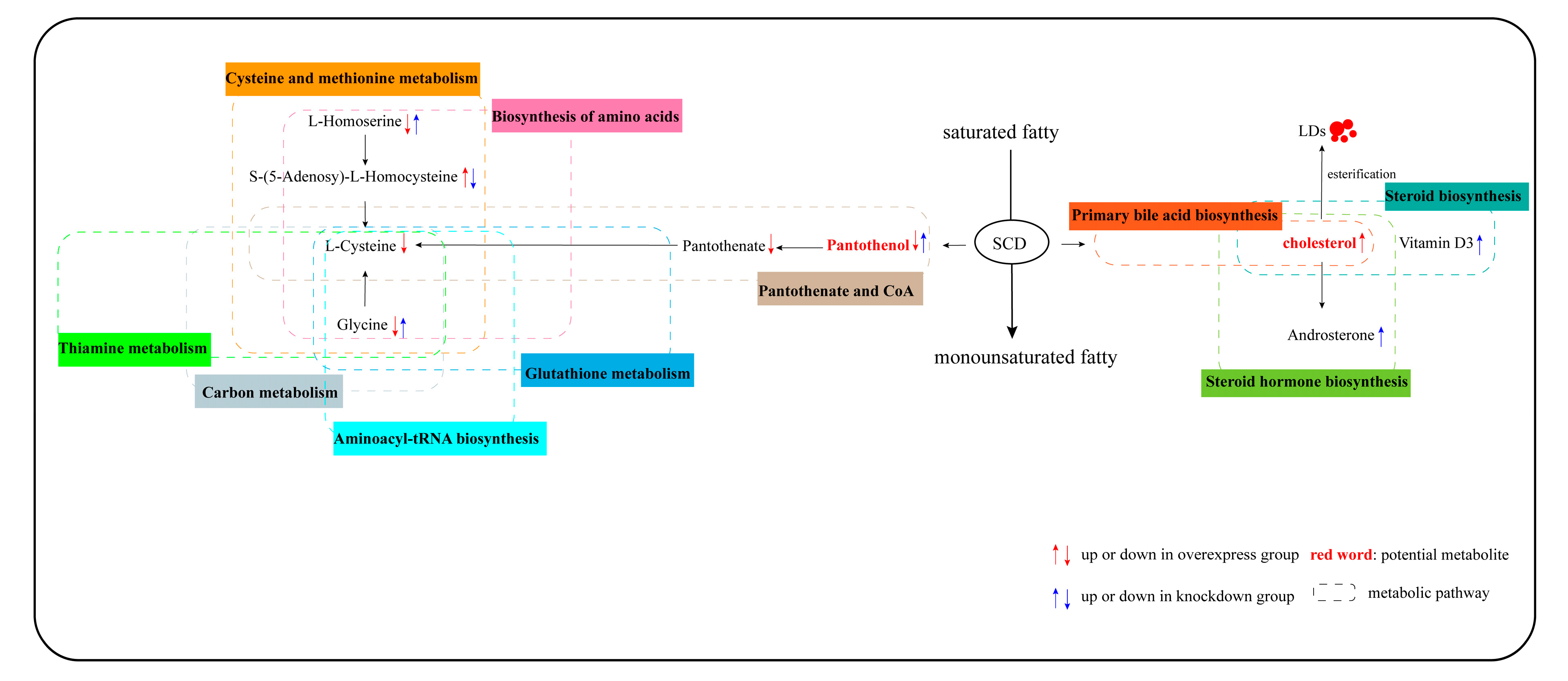 Genes 11 01001 g008 Genes 11 01001 g008