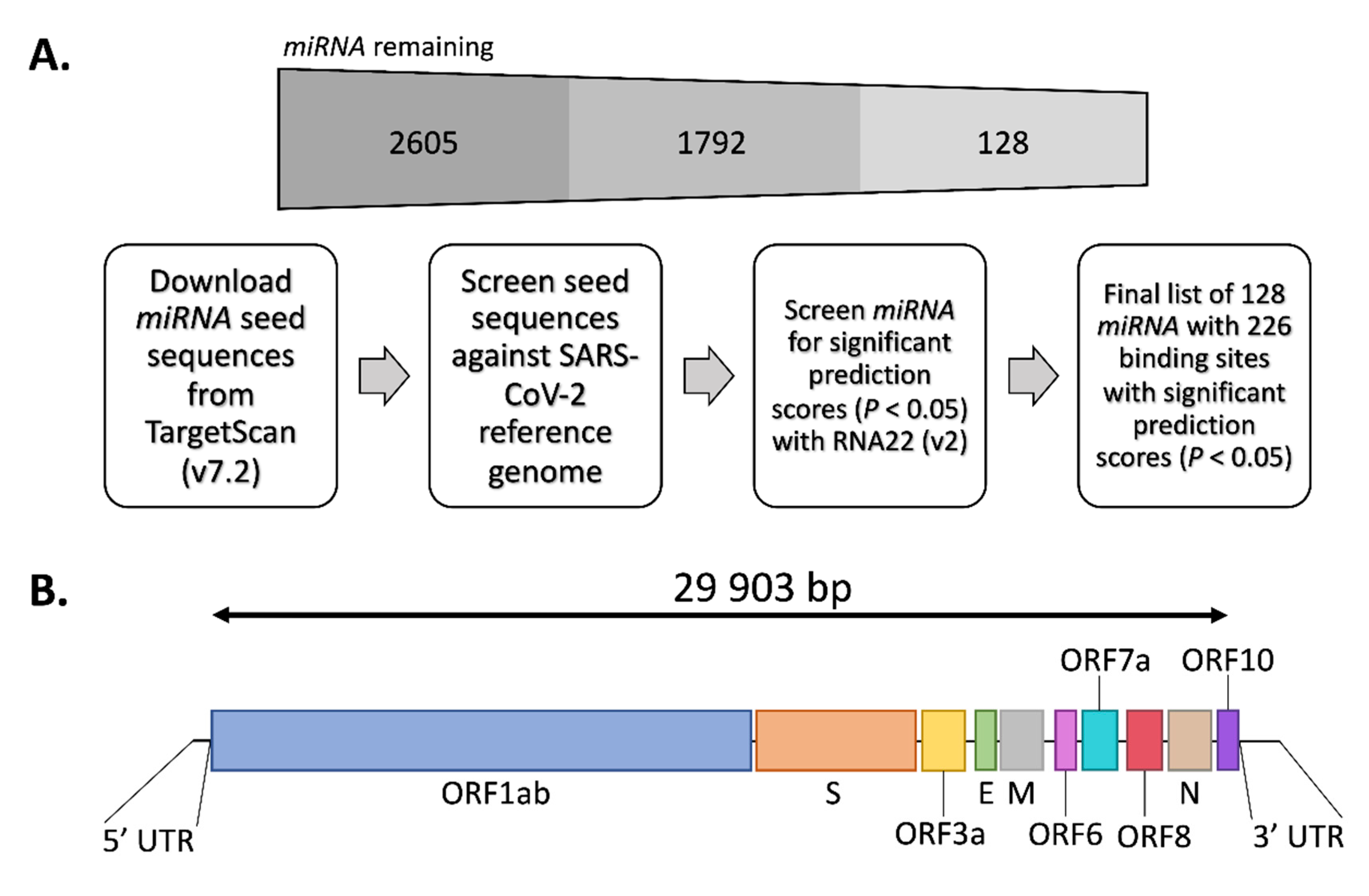 Genes 11 01002 g001 Genes 11 01002 g001