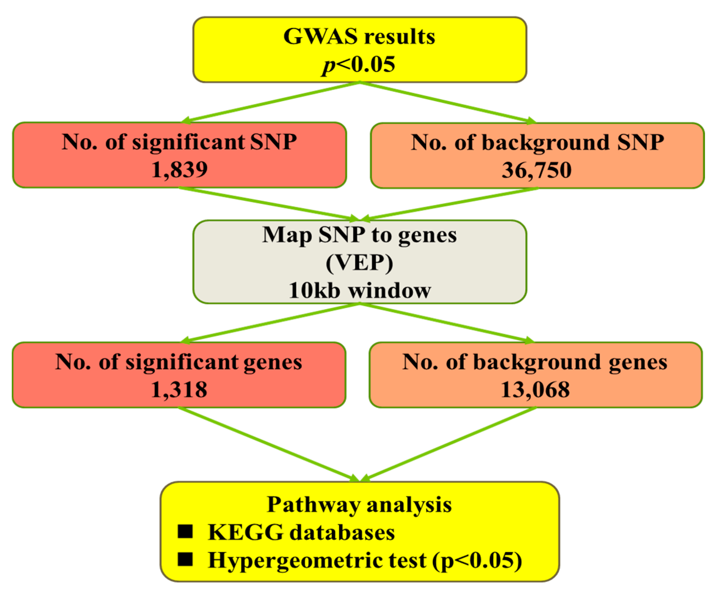 Genes 11 01005 g001