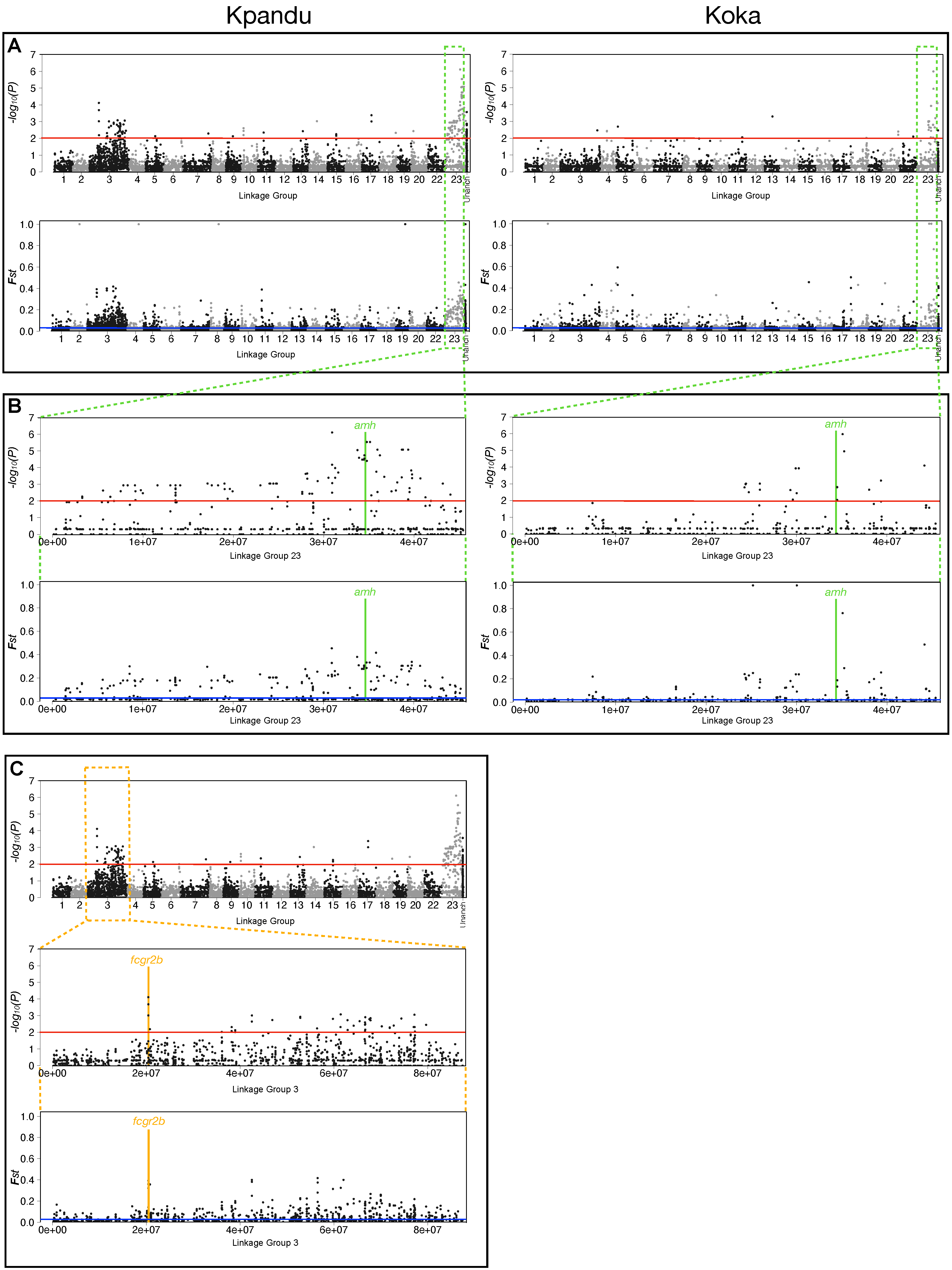 Genes 11 01017 g003 Genes 11 01017 g003