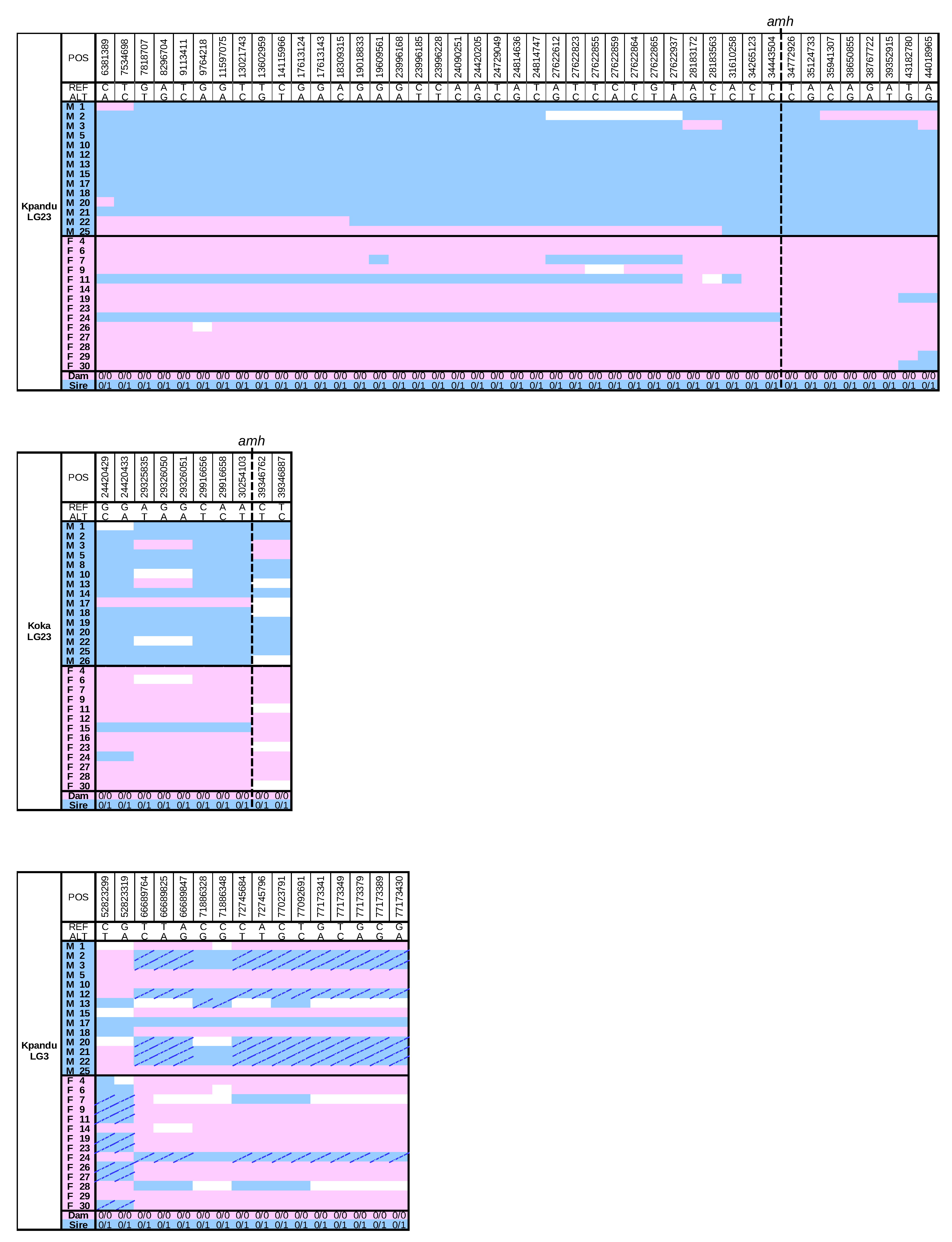 Genes 11 01017 g004 Genes 11 01017 g004