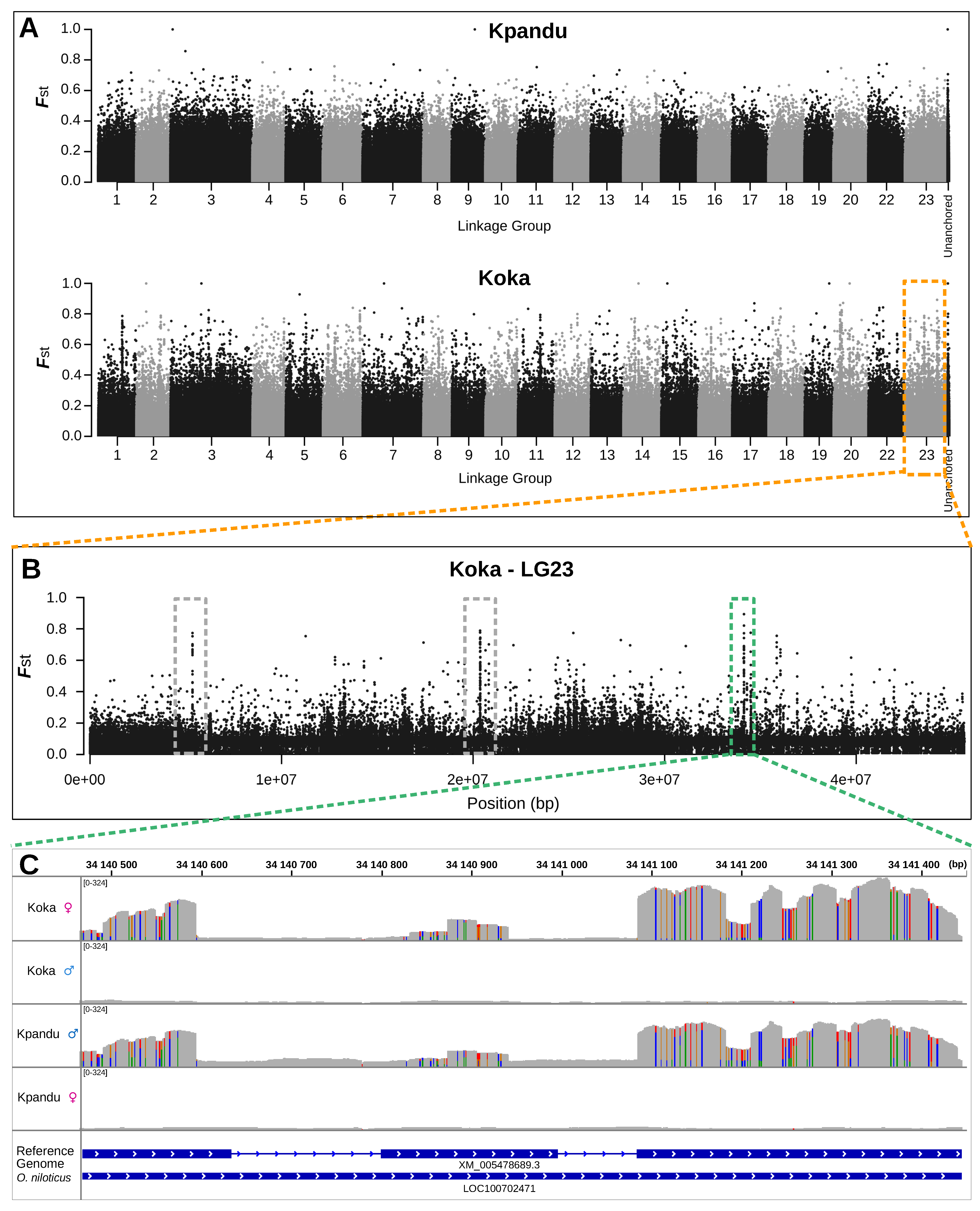 Genes 11 01017 g005 Genes 11 01017 g005