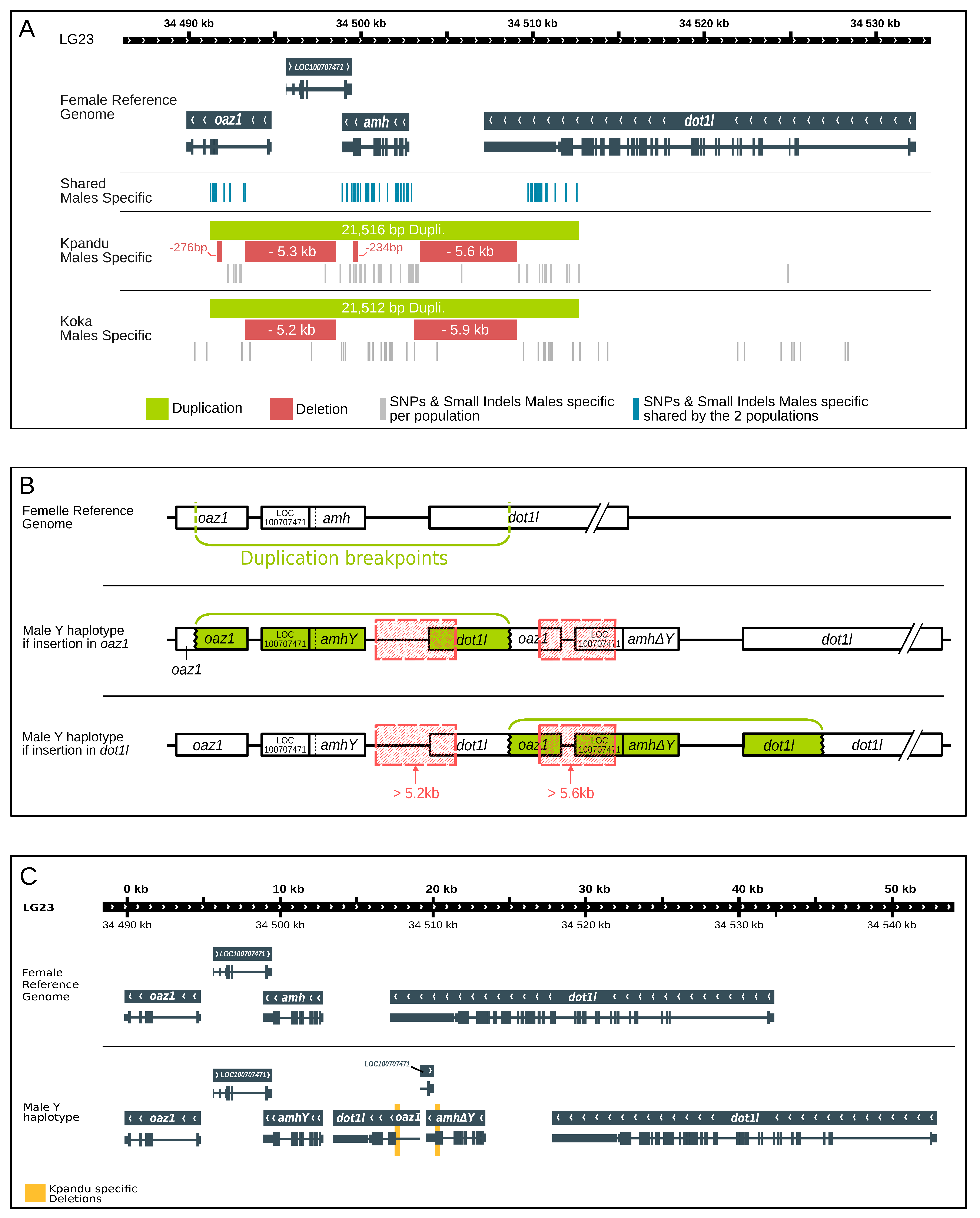 Genes 11 01017 g006 Genes 11 01017 g006