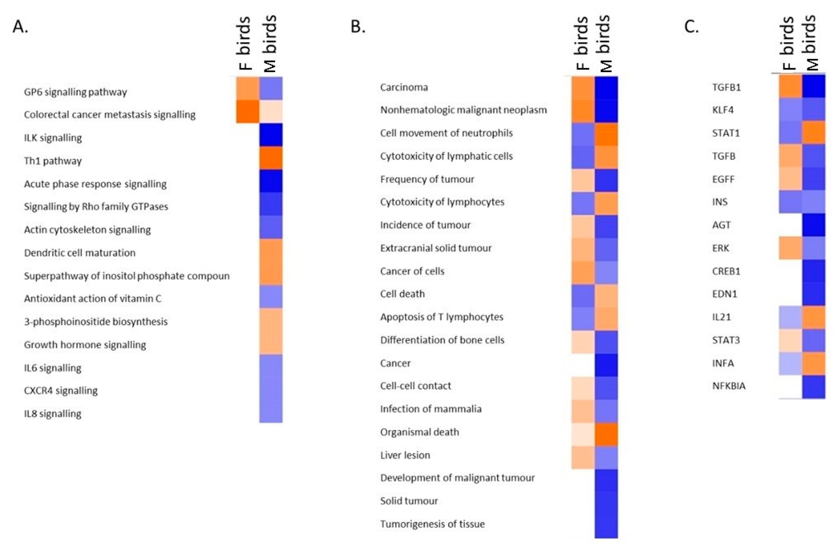 Genes 11 01019 g003
