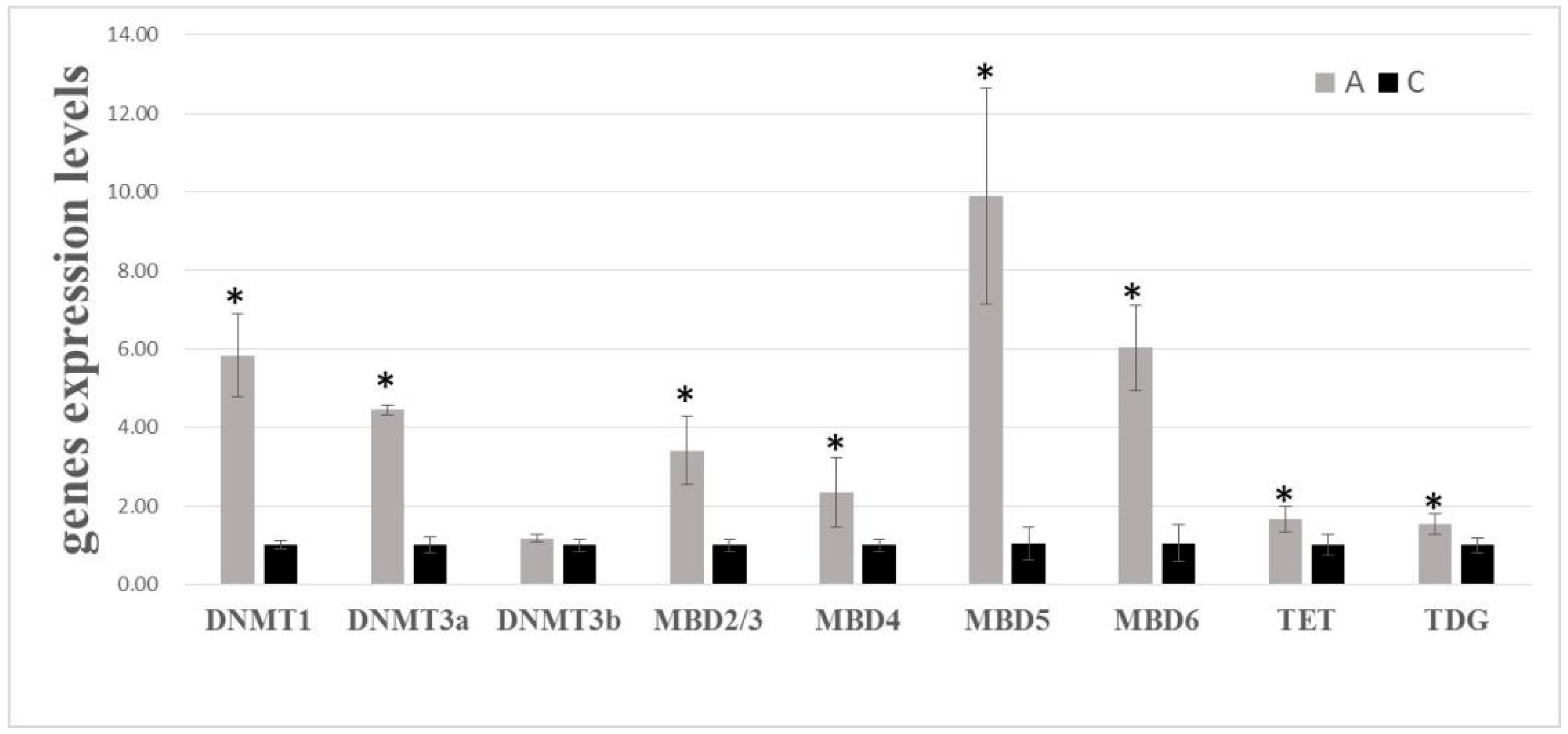 Genes 11 01020 g001