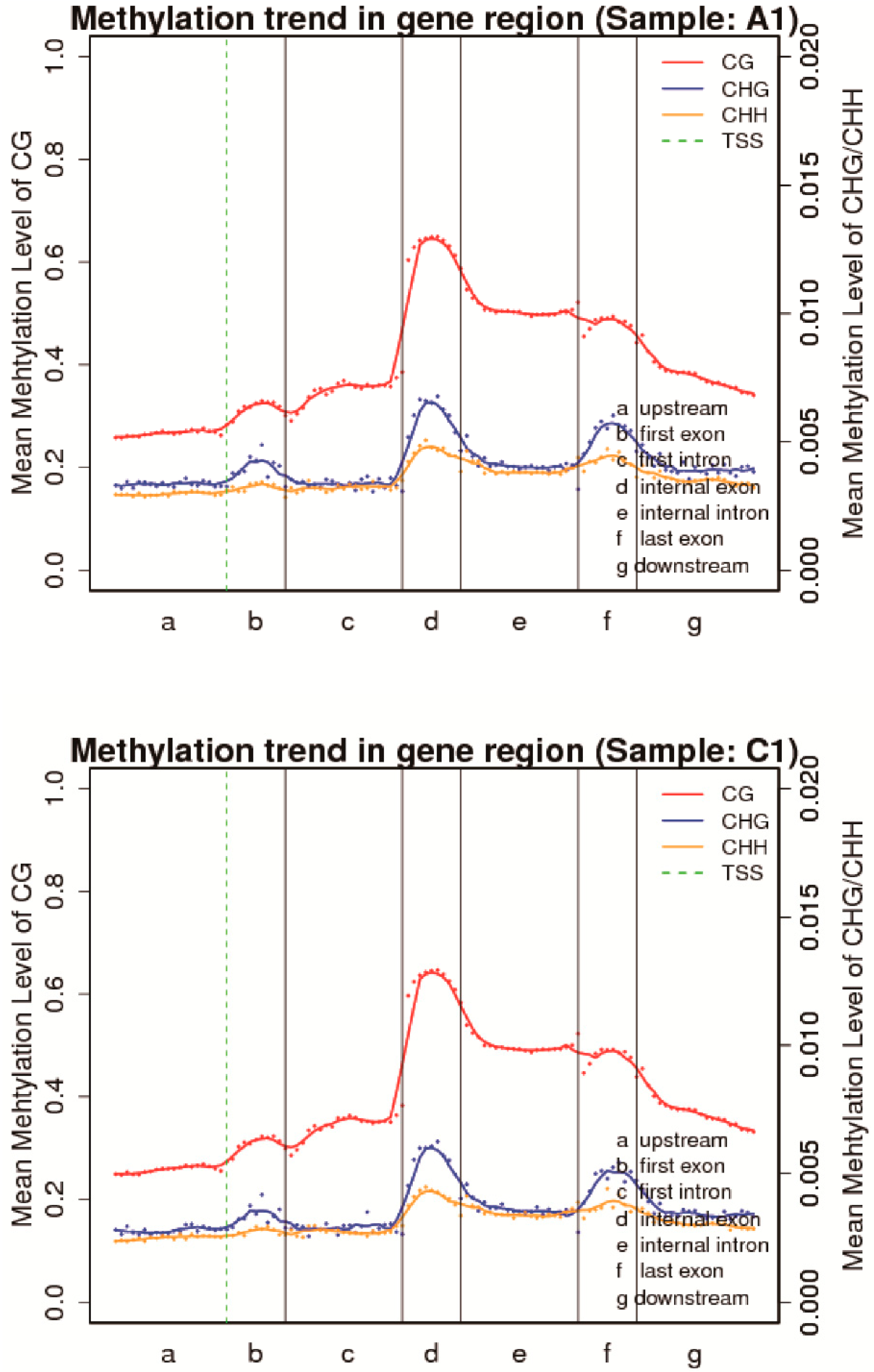 Genes 11 01020 g003
