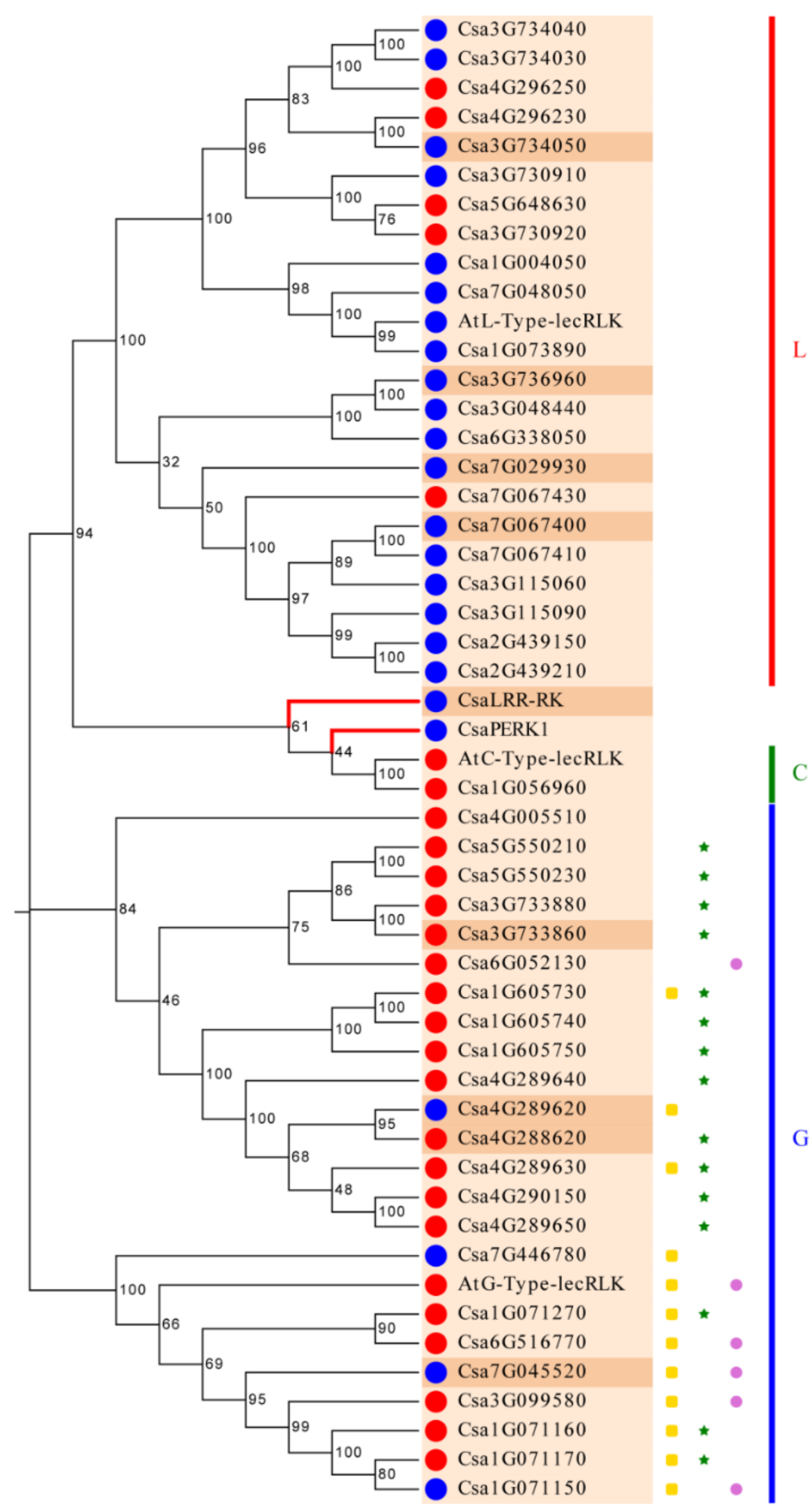 Genes 11 01032 g002 Genes 11 01032 g002