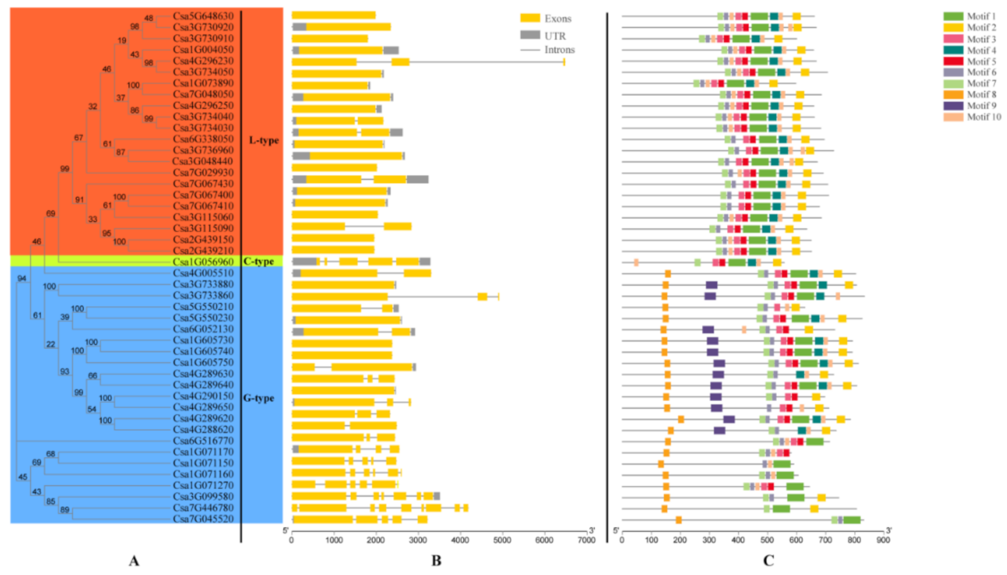 Genes 11 01032 g003 Genes 11 01032 g003