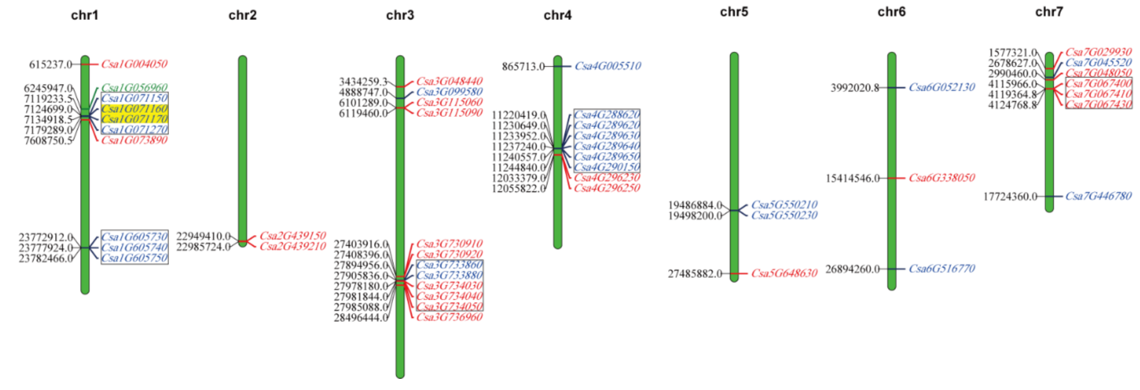 Genes 11 01032 g004 Genes 11 01032 g004