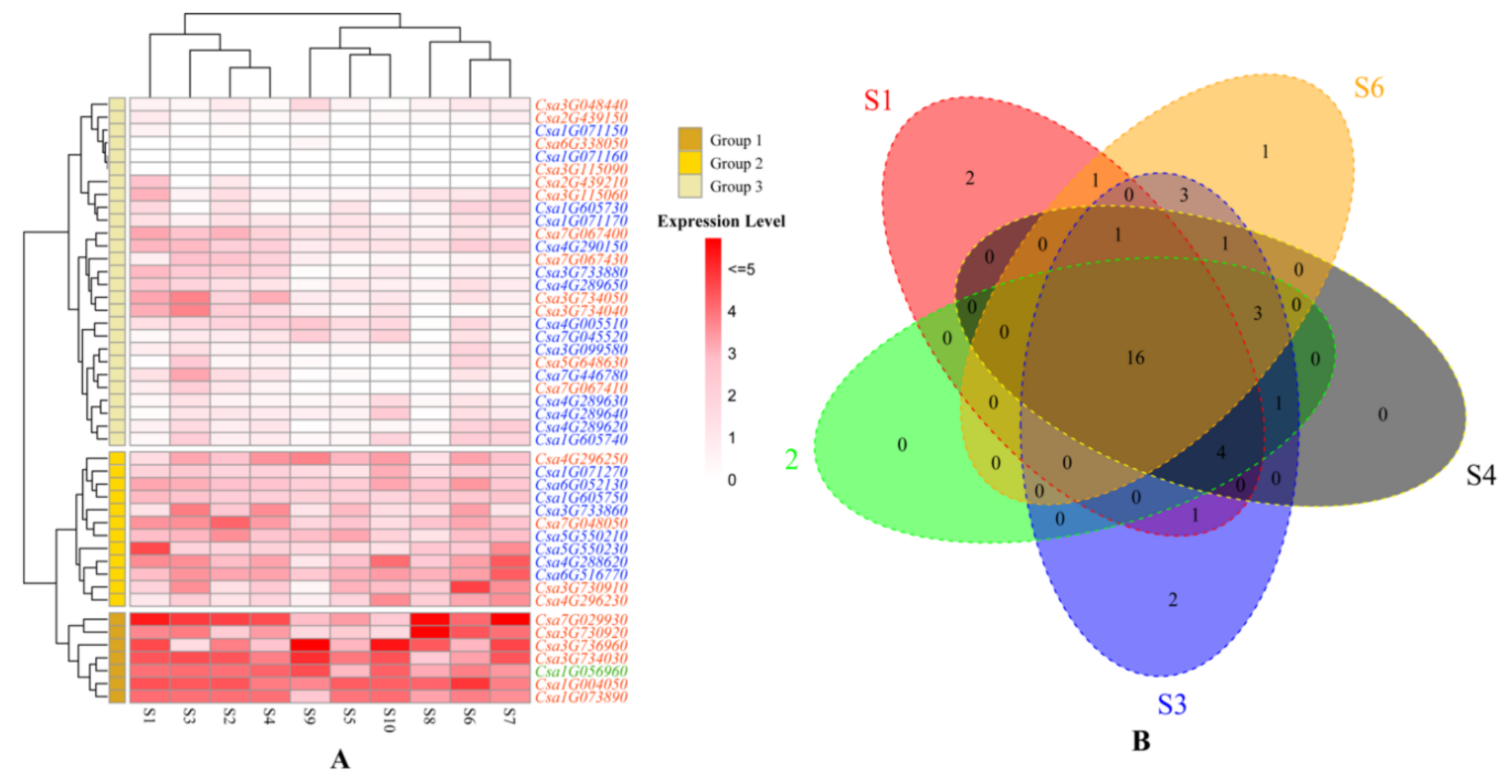 Genes 11 01032 g005 Genes 11 01032 g005