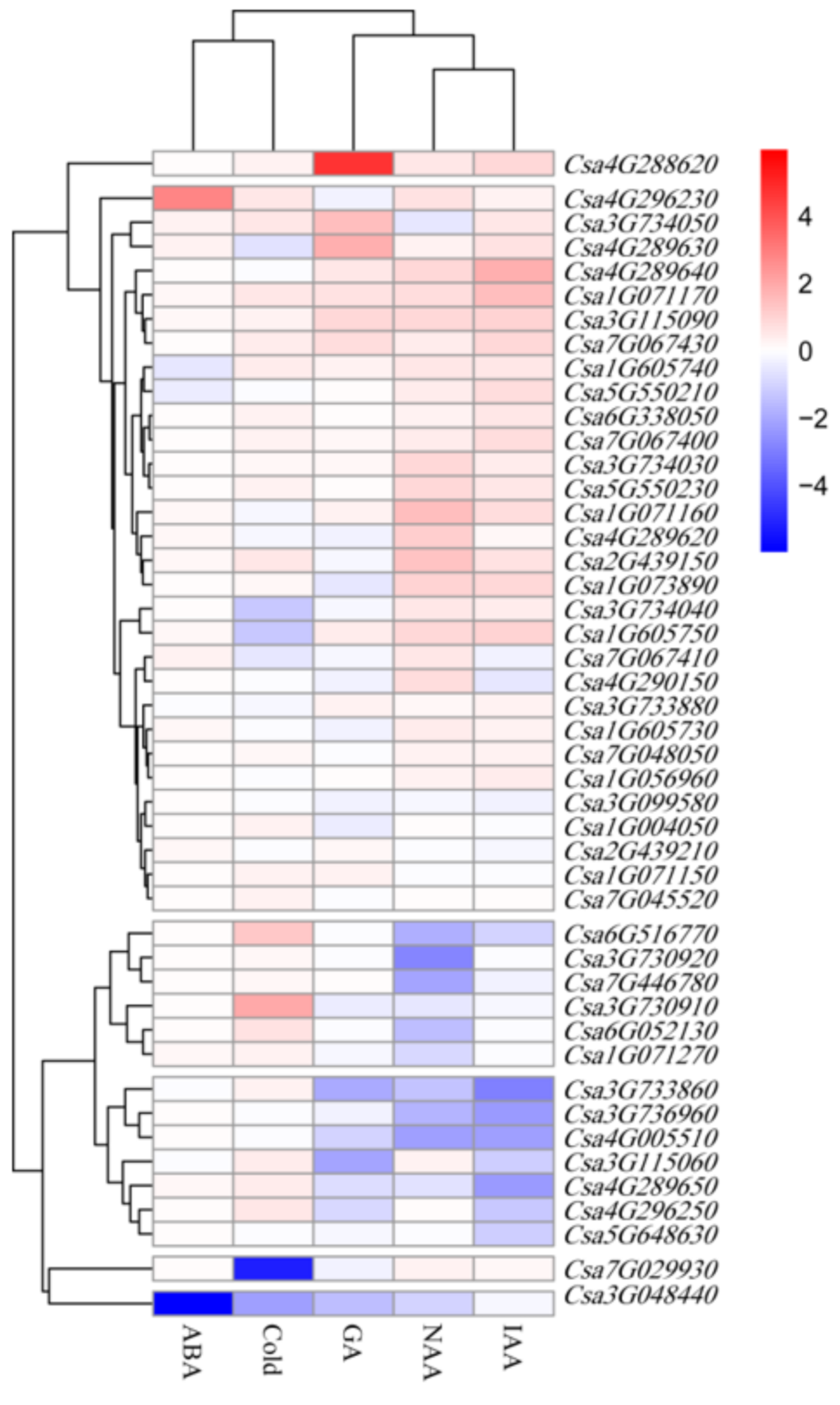 Genes 11 01032 g006 Genes 11 01032 g006