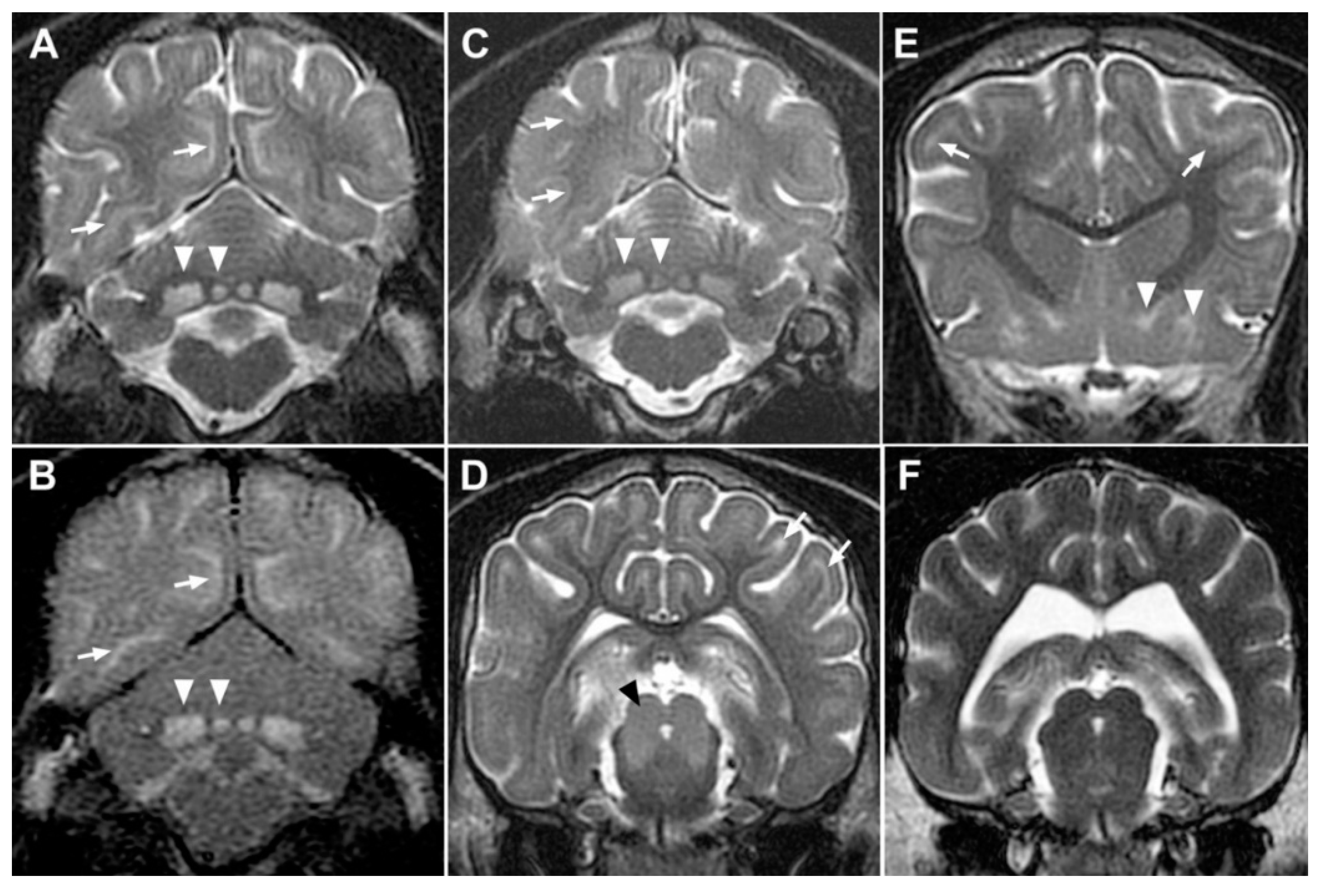 Genes 11 01033 g002 Genes 11 01033 g002
