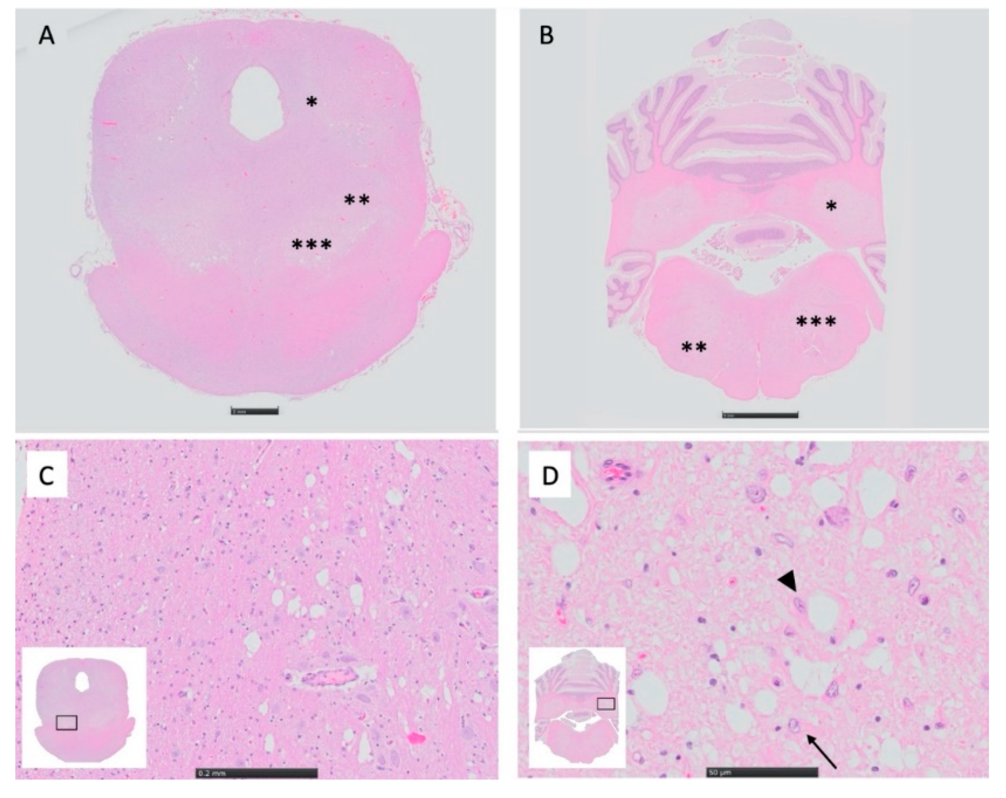Genes 11 01033 g003 Genes 11 01033 g003
