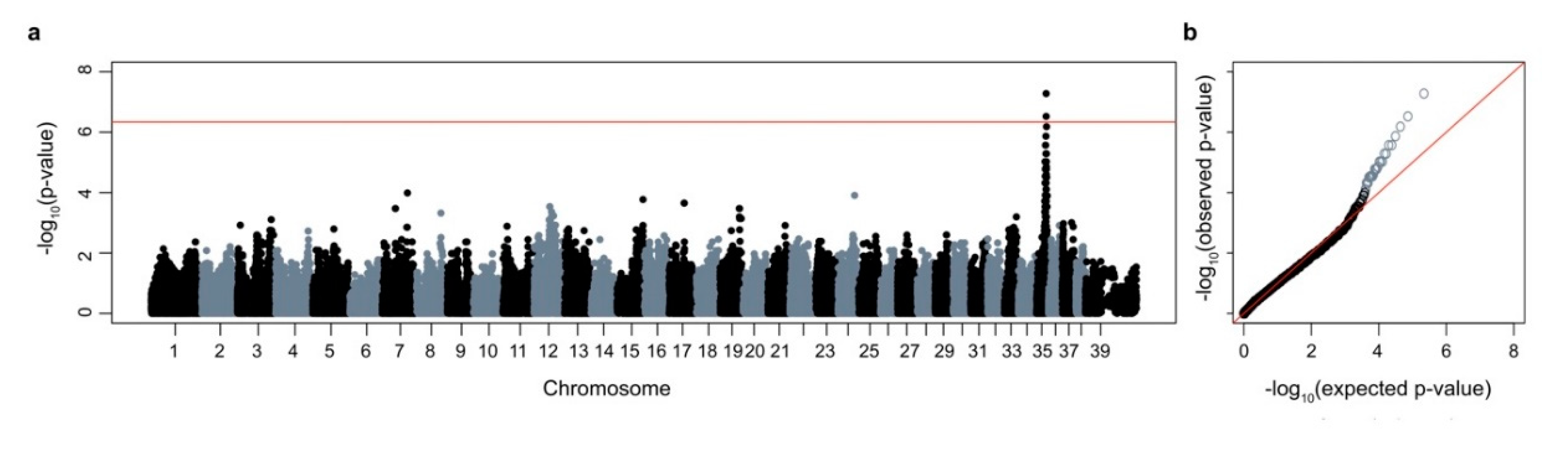 Genes 11 01033 g005 Genes 11 01033 g005