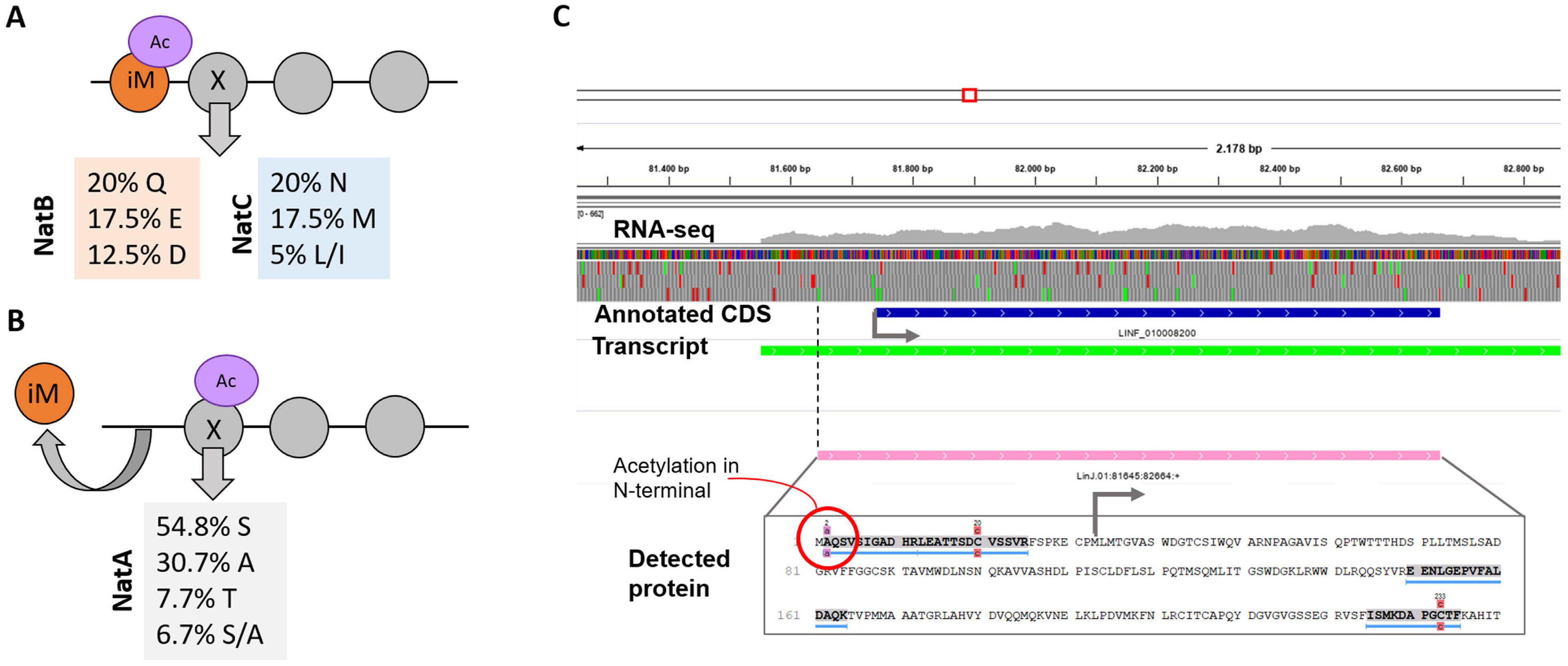 Genes 11 01036 g005 Genes 11 01036 g005