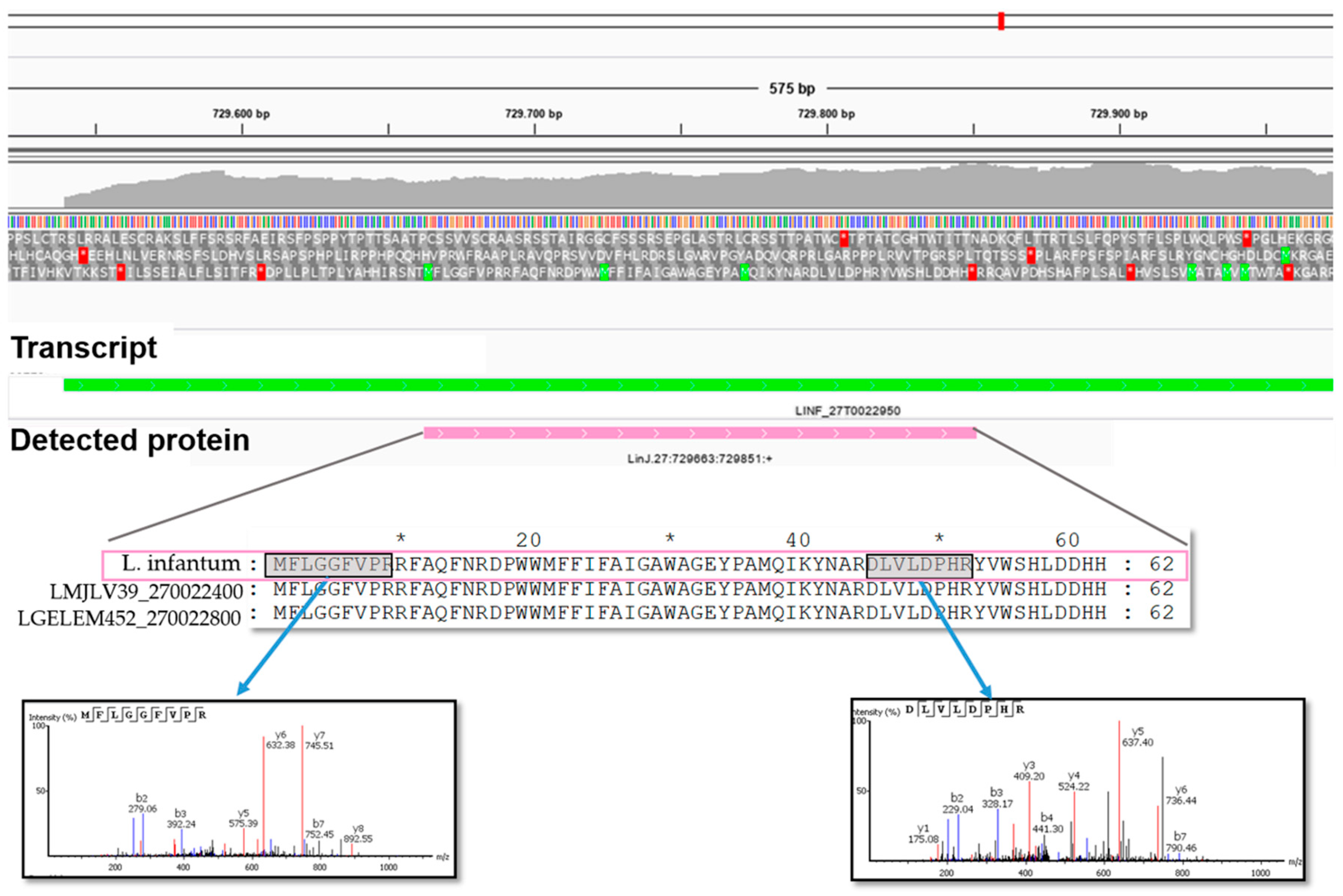 Genes 11 01036 g006 Genes 11 01036 g006