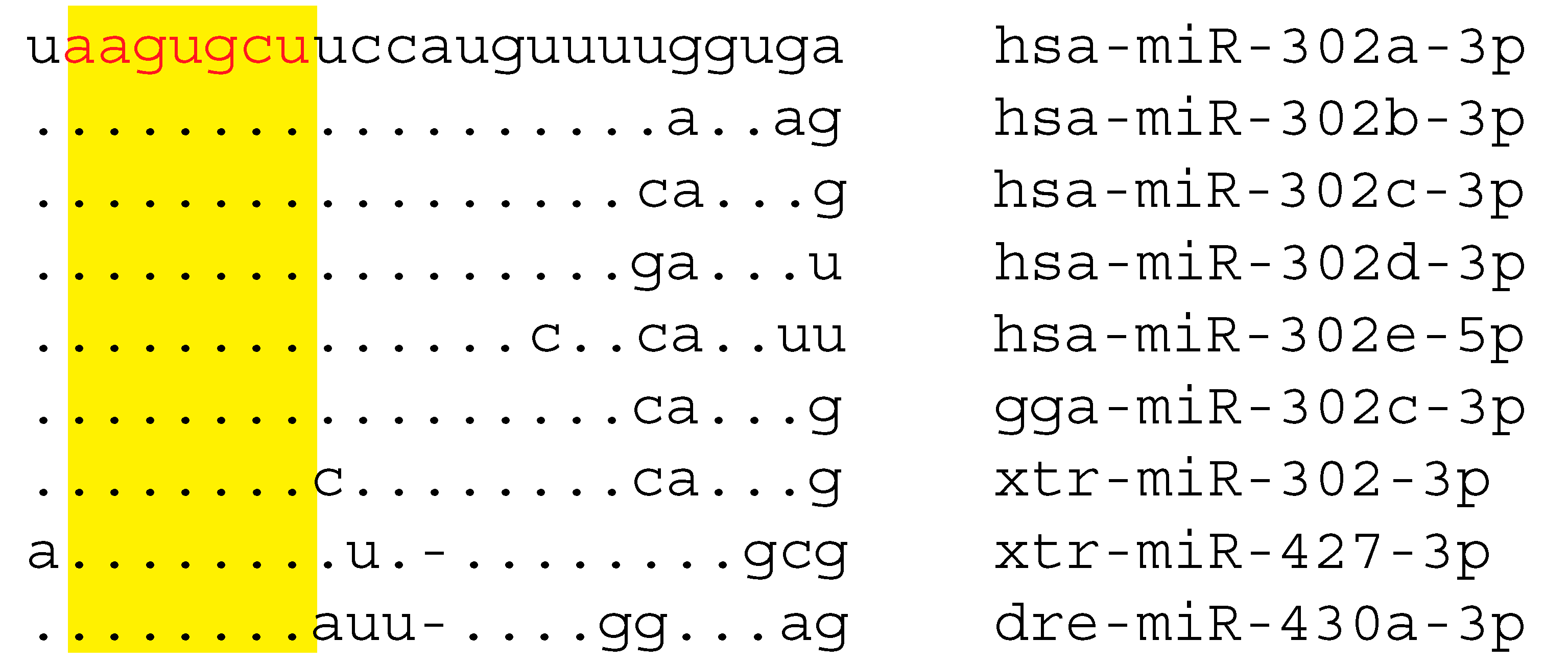 Genes 11 01038 g001 Genes 11 01038 g001