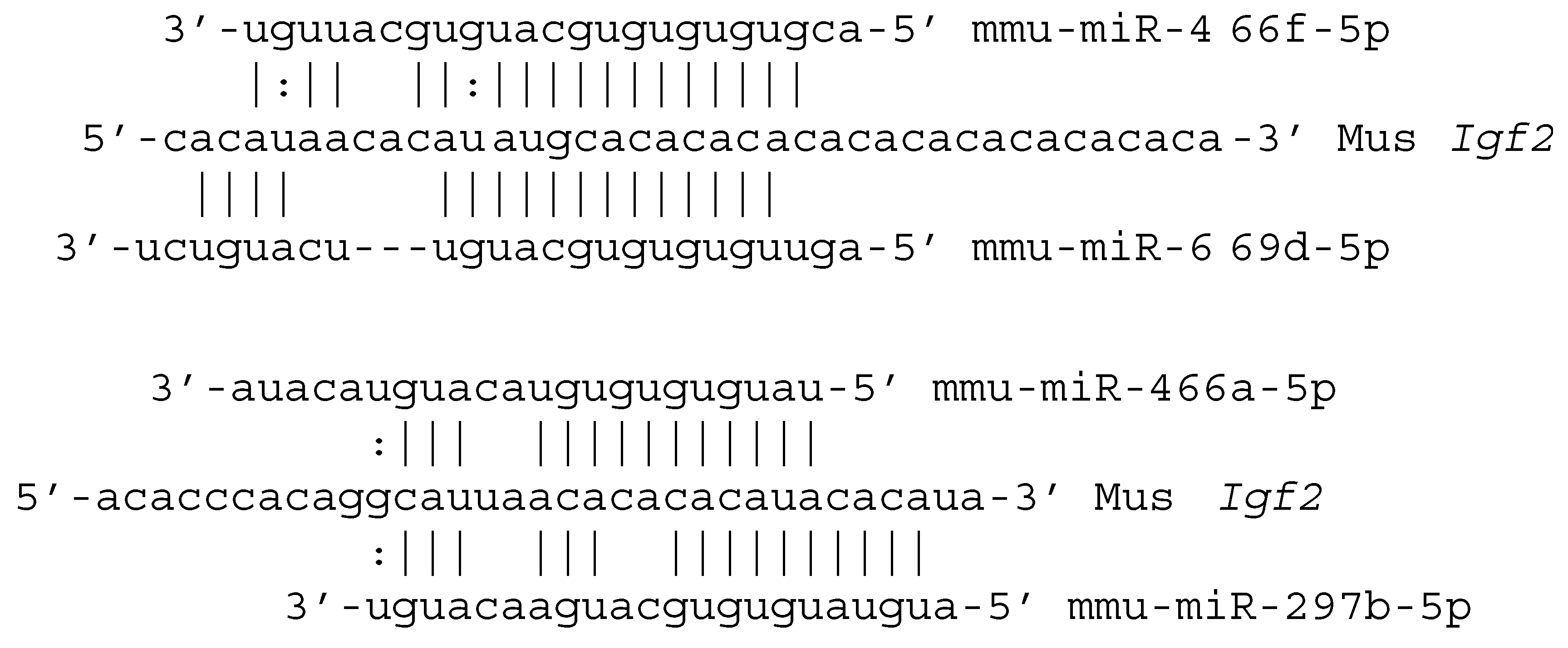 Genes 11 01038 g002 Genes 11 01038 g002