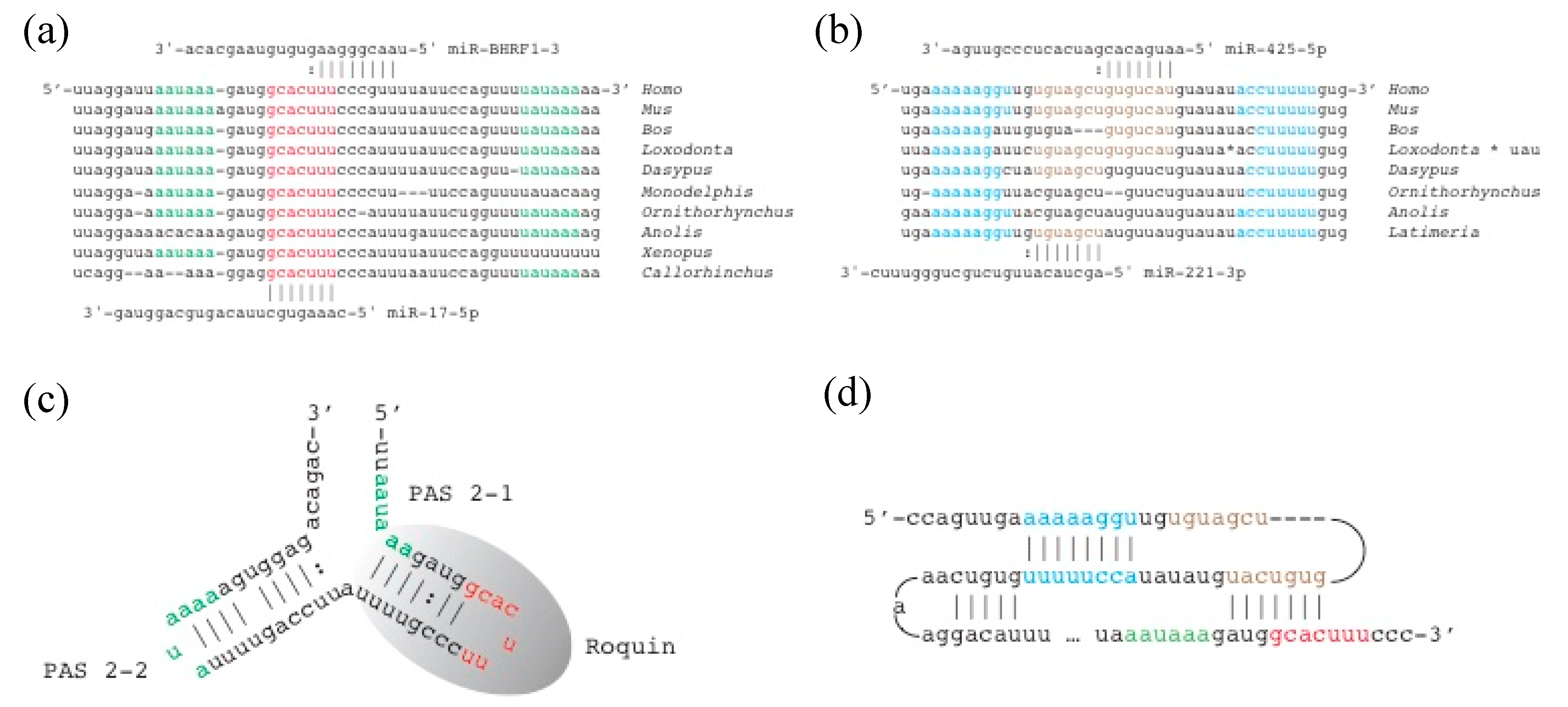 Genes 11 01038 g003 Genes 11 01038 g003