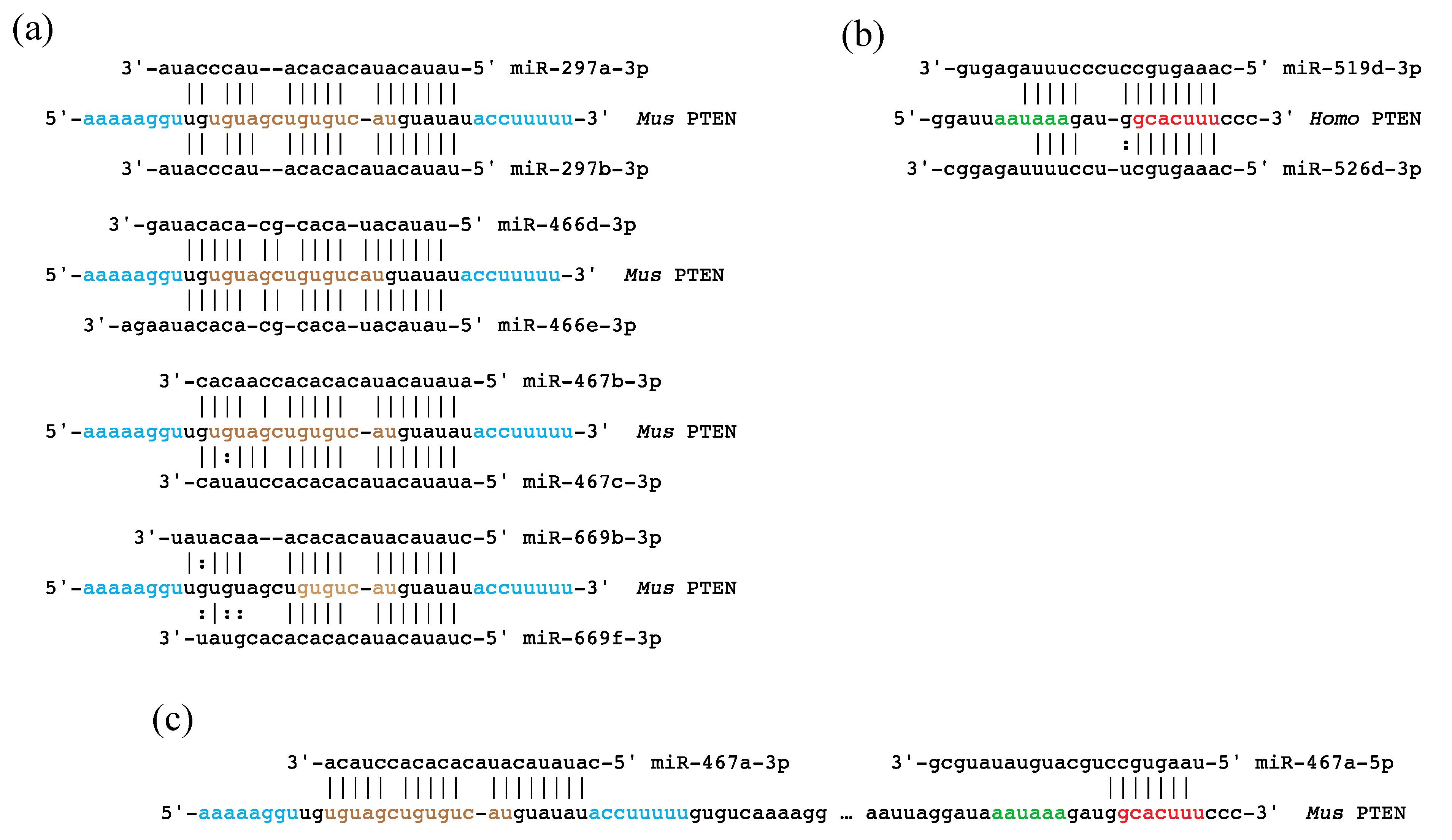 Genes 11 01038 g004 Genes 11 01038 g004