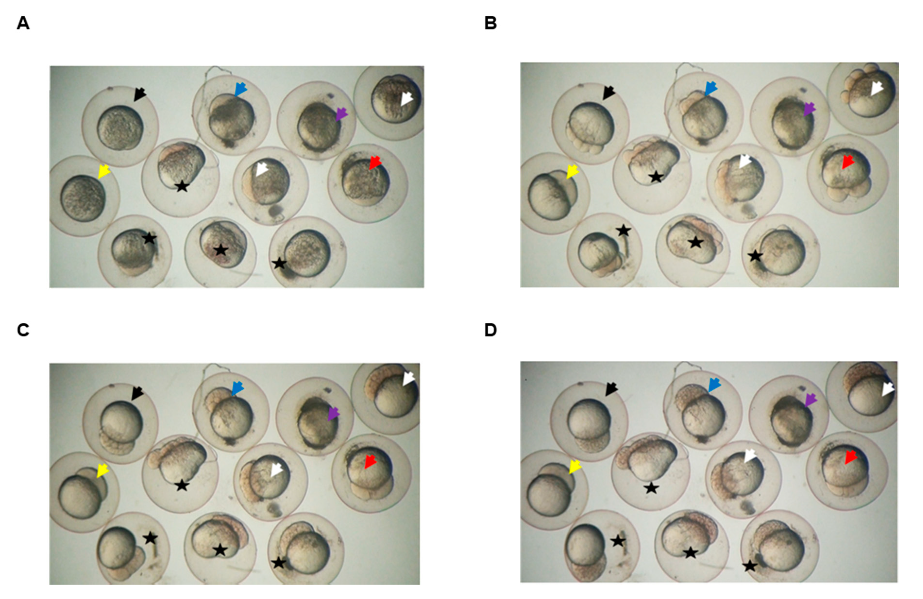 Genes 11 01048 g008 Genes 11 01048 g008