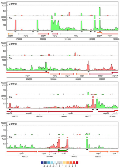 Genes 11 01049 g005 550