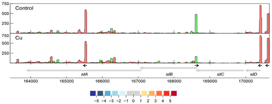 Genes 11 01049 g006 550