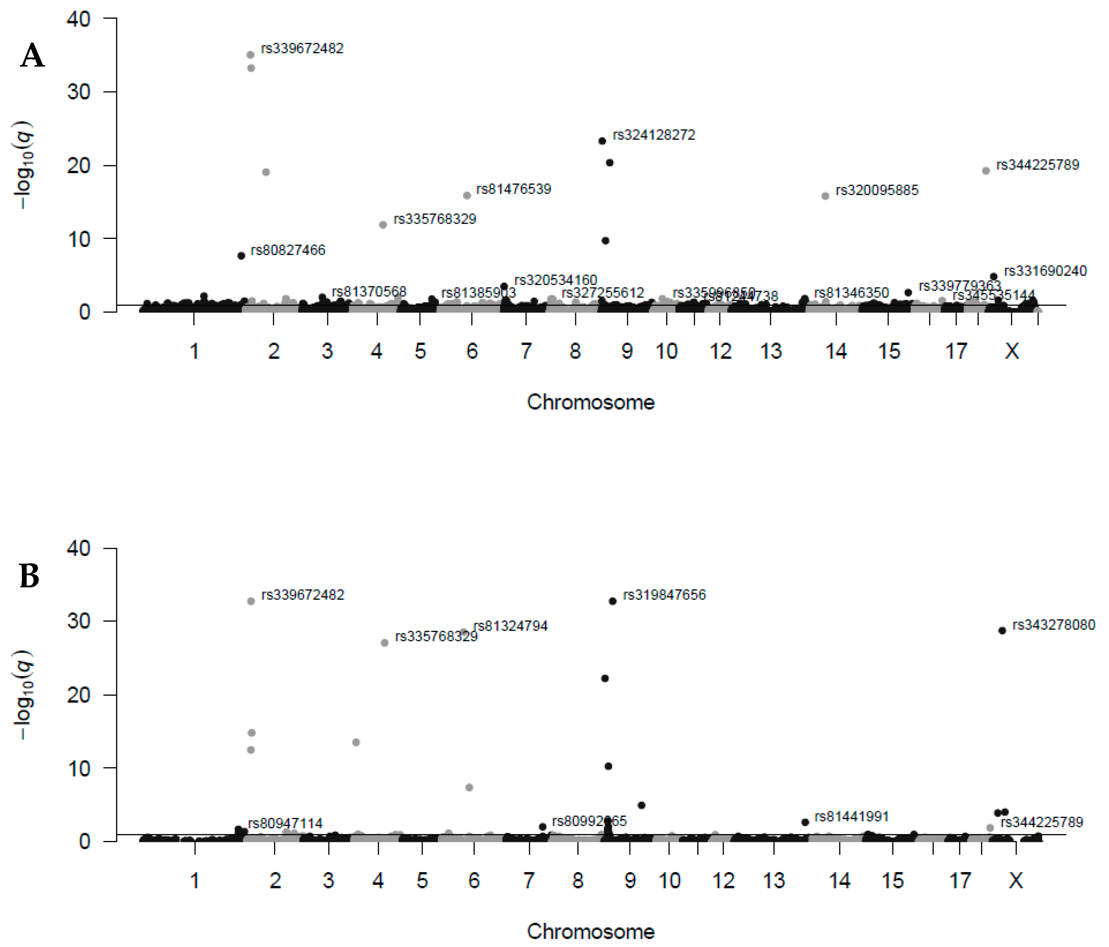 Genes 11 01050 g001 Genes 11 01050 g001